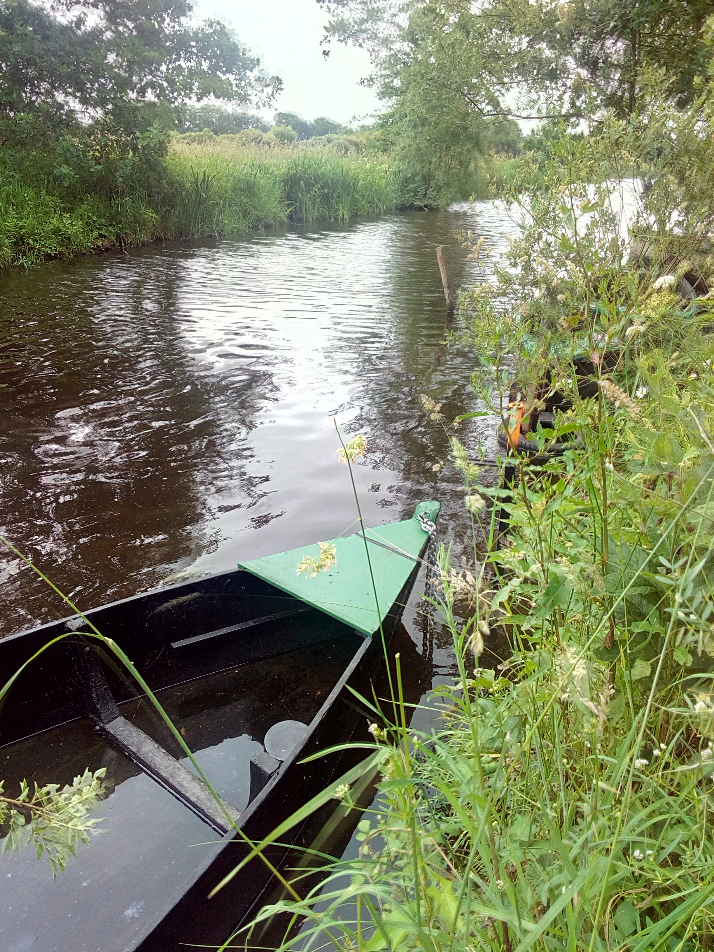 A traditional green and black flat bottomed boat moored at the grassy edge of a dark canal surrounded by reeds and greenery.