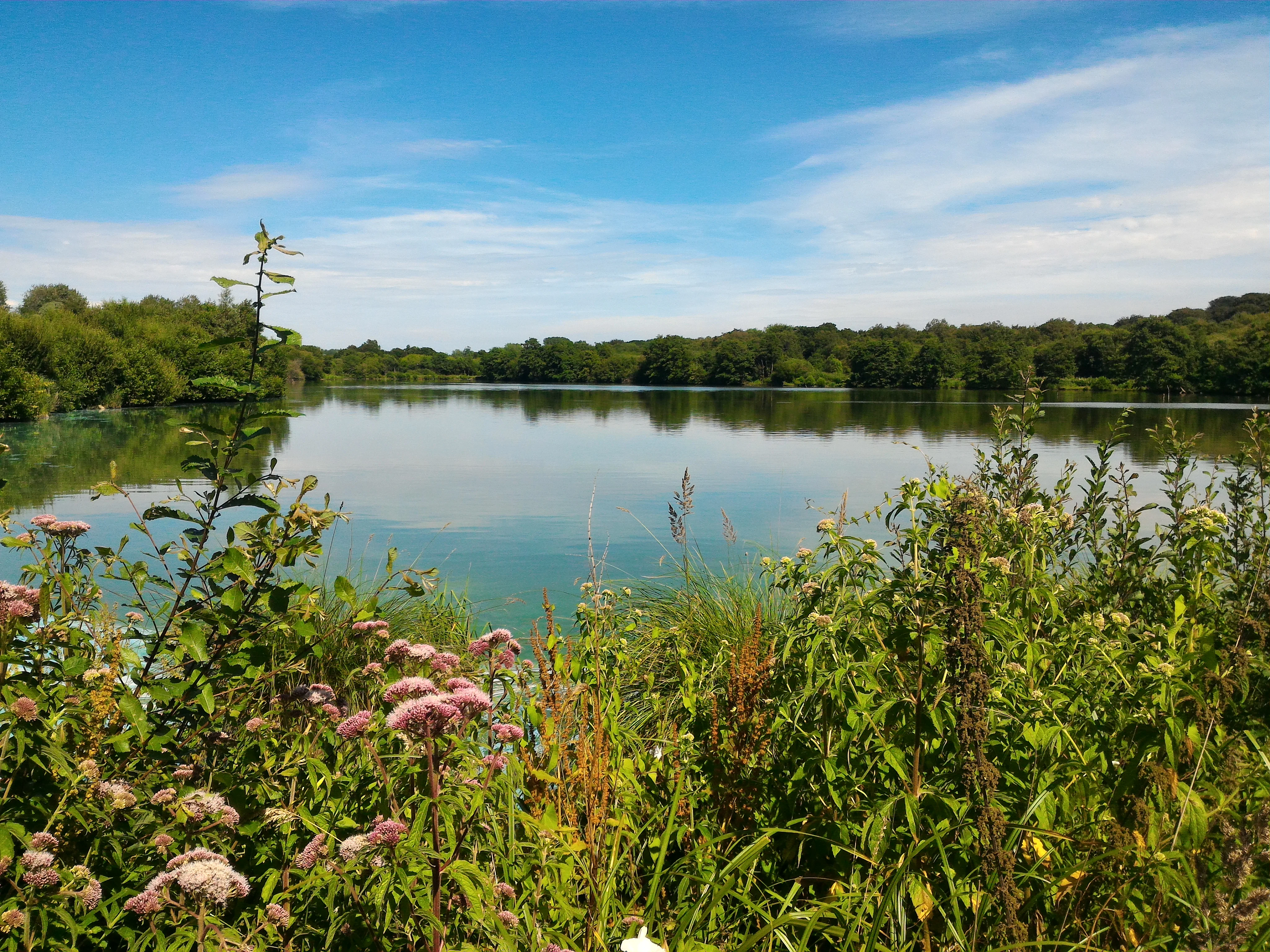 A calm lake surrounded by lush green trees and wild flowers under a bright blue sky with light clouds.