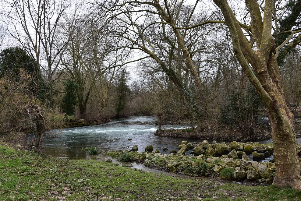 A view of the Sèvre Niortaise river with rapids and lush tree-lined banks in a late winter or early spring setting.