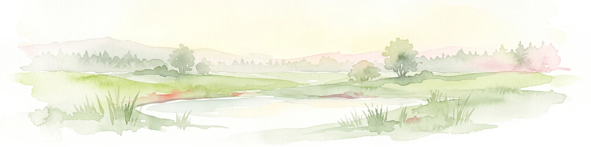 A soft watercolor illustration of a wetland scene with a small pool of water in the foreground, grassy meadows, and distant hills and trees in the background.