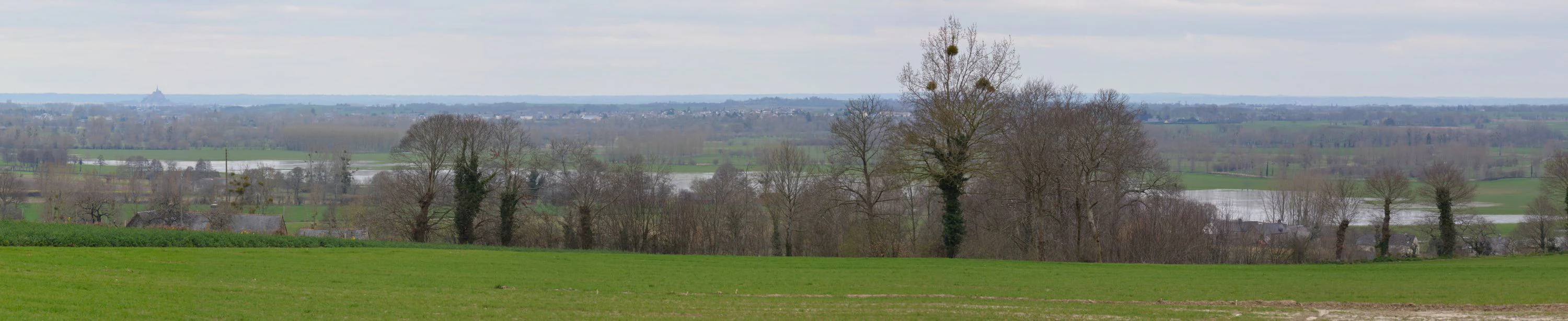 A wide, panoramic landscape view of flat, green wetland plains under a pale, overcast sky.