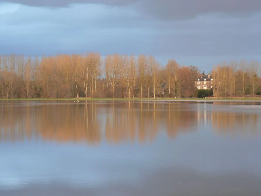 A wide view of a flooded landscape with calm water reflecting a line of leafless trees and a distant building under a cloudy sky.