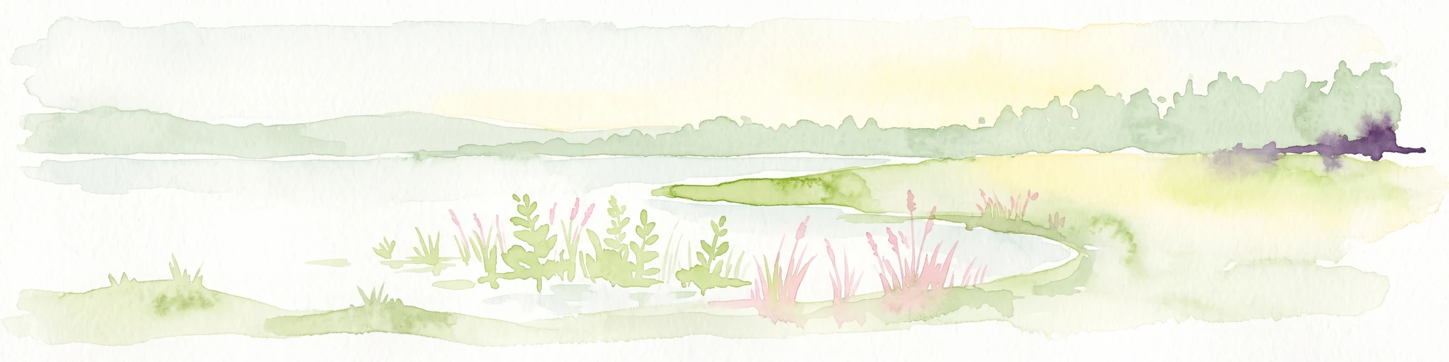 A pale, soft watercolor painting of a calm wetland or marsh, featuring muted green vegetation, light water reflection, and a gentle shoreline under a hazy sky.