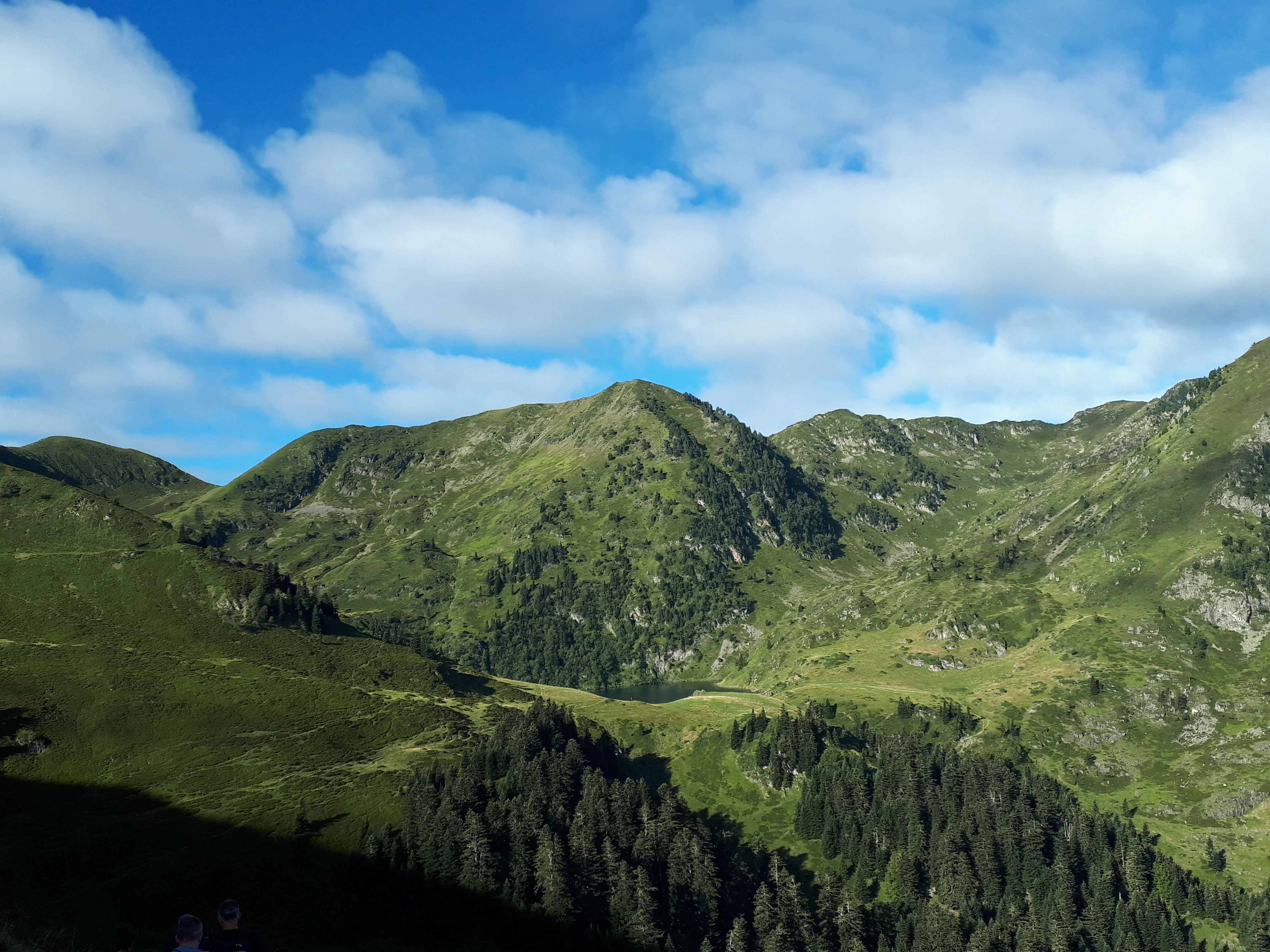 A wide view of green mountain slopes and pine forests in the Pyrenees under a sky with scattered white clouds.