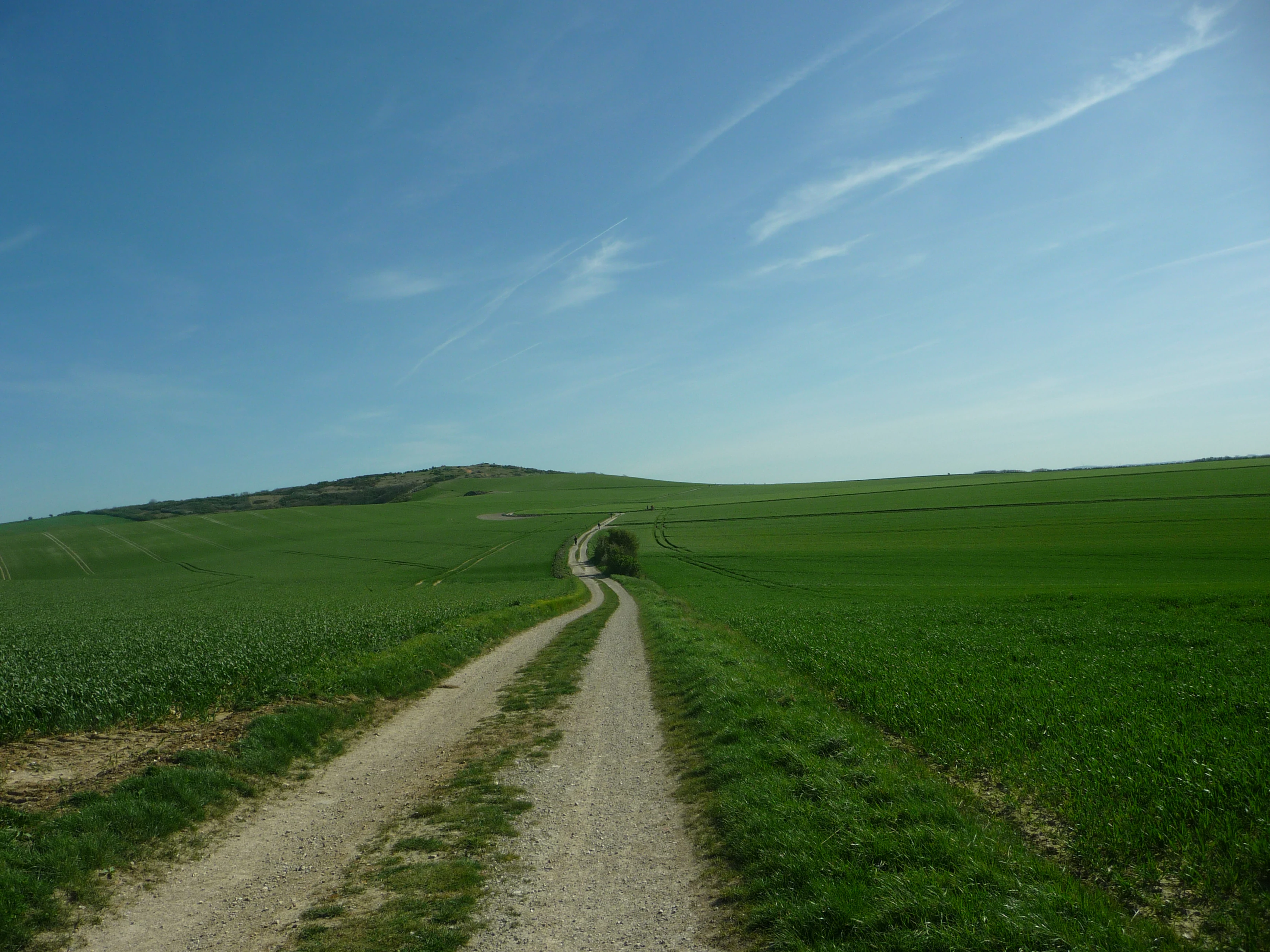 A dirt and gravel path leads through expansive rolling green fields toward a low hill under a blue sky.