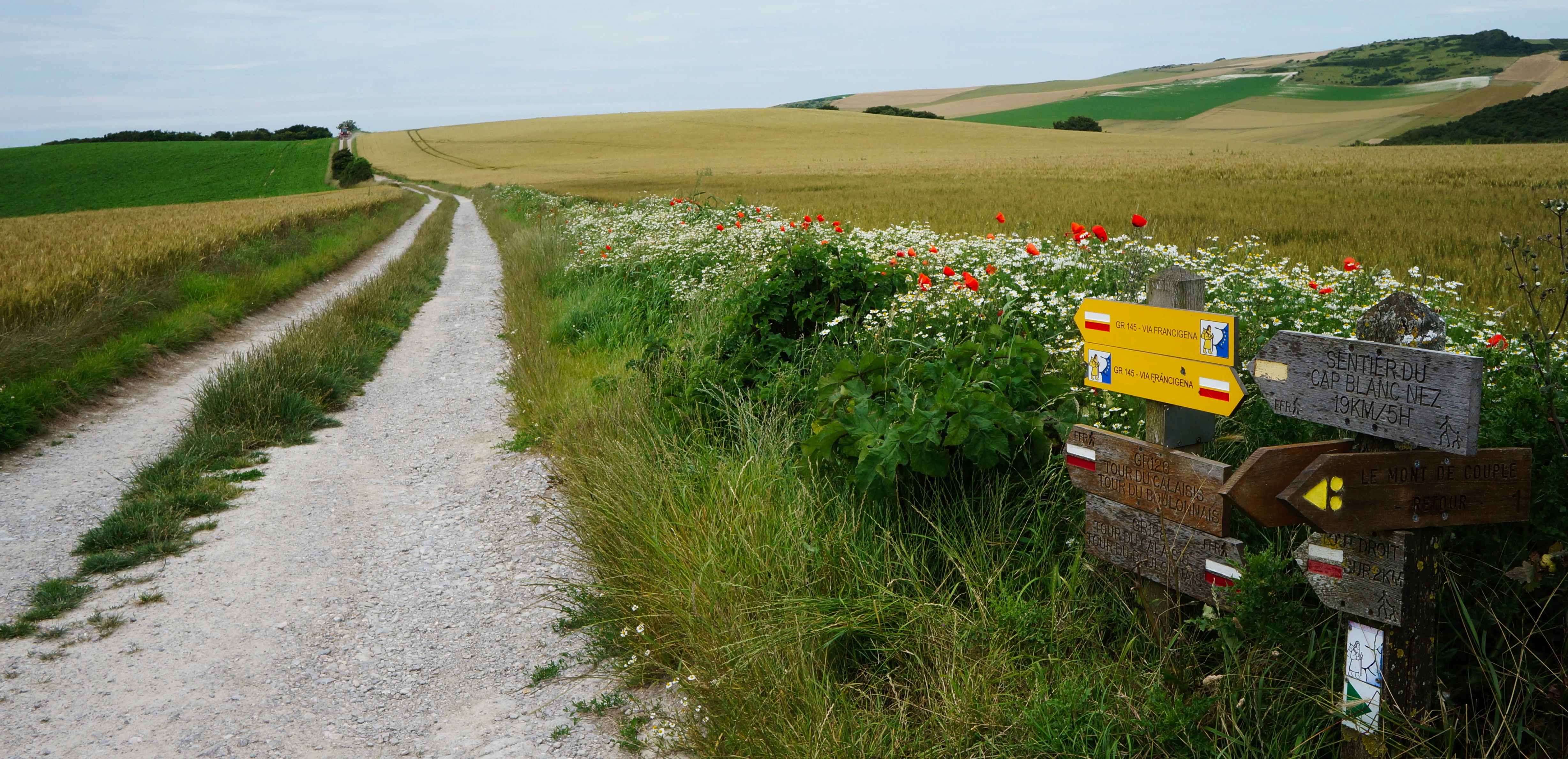 A dirt hiking trail winding through open fields in the French countryside, with a wooden signpost in the foreground showing hiking trail markings and directions.