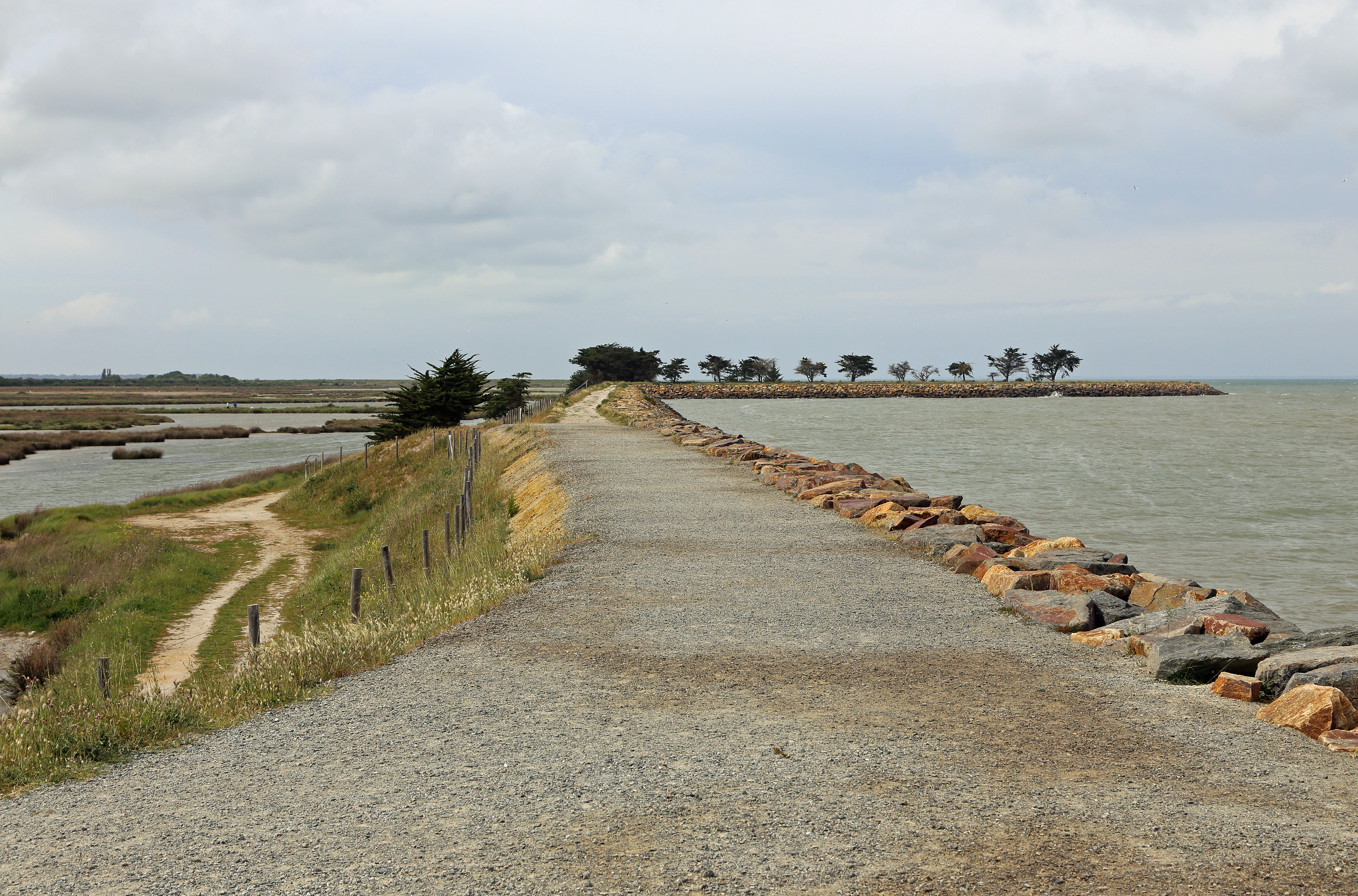 A gravel embankment path stretches into the distance, with calm water on the right and marshy wetlands on the left under a cloudy sky.