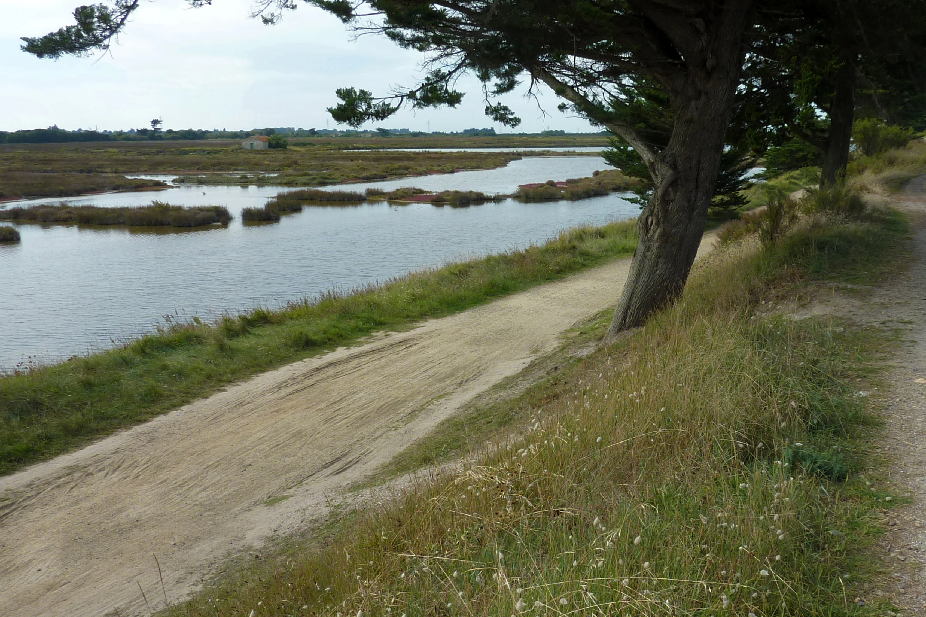 An unpaved sandy trail runs alongside a tidal marsh with scattered grassy islands under a clouded sky.