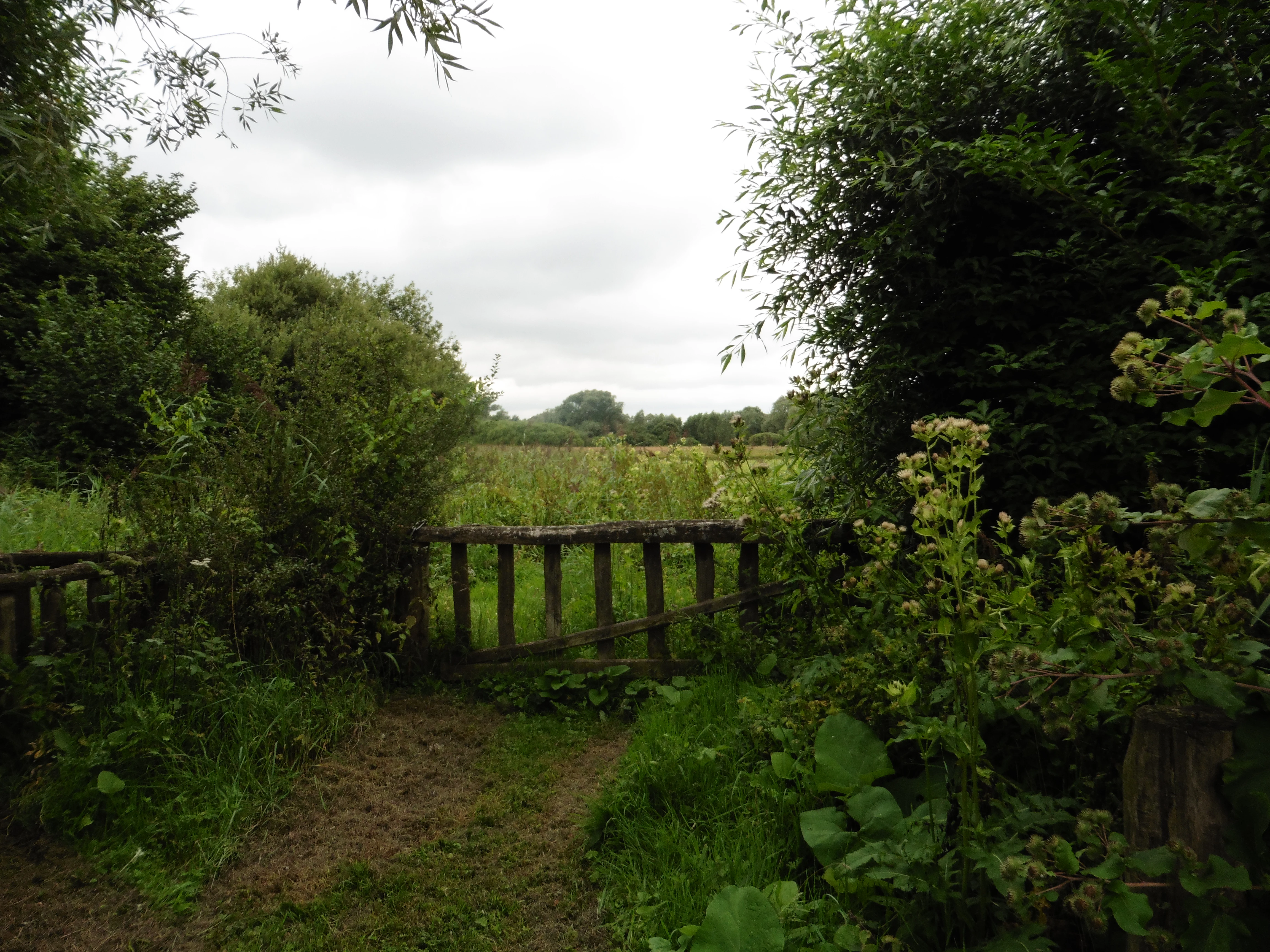 A rustic wooden gate set within a lush green landscape overlooking a meadow and distant trees under an overcast sky.