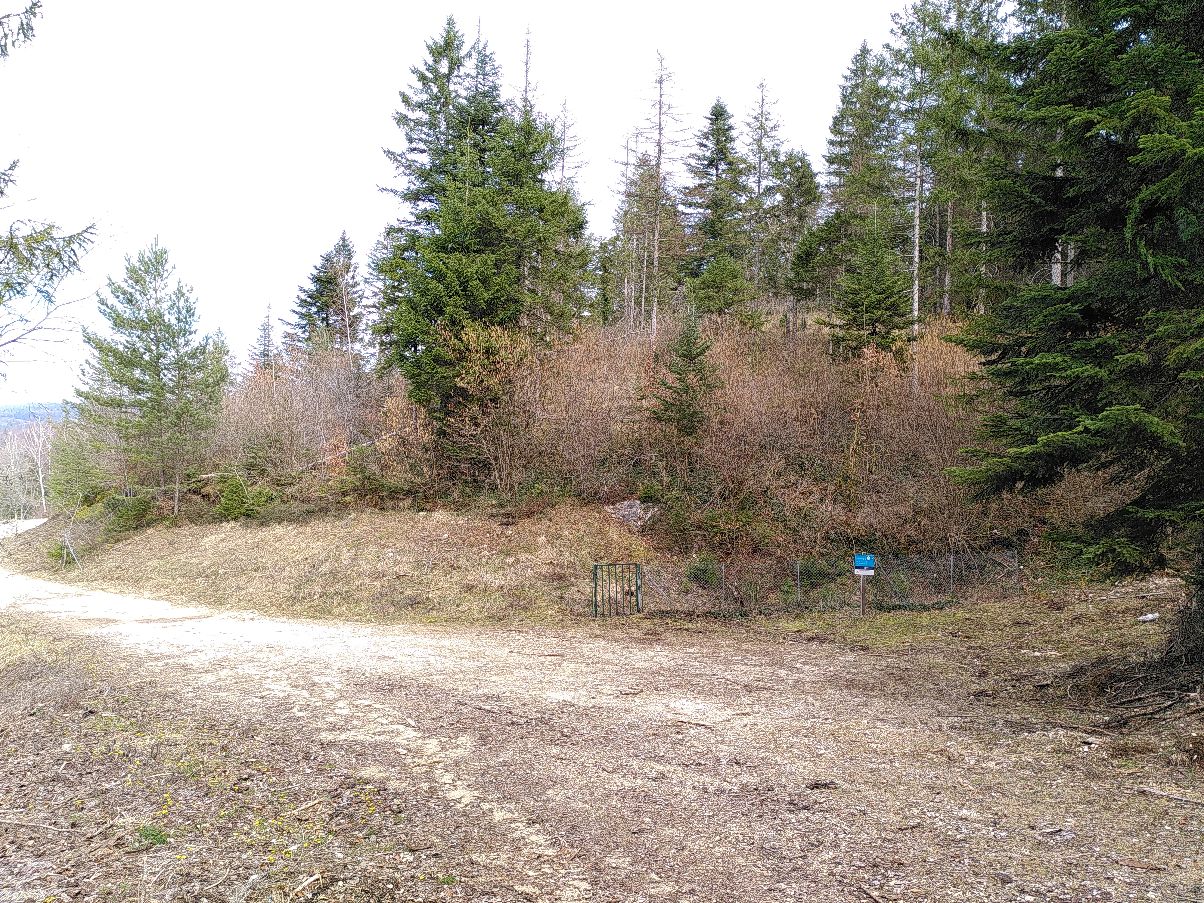 A dirt path leading into a wooded area in the Marchon Fossil Reef nature reserve, with a small blue sign visible near the trees.