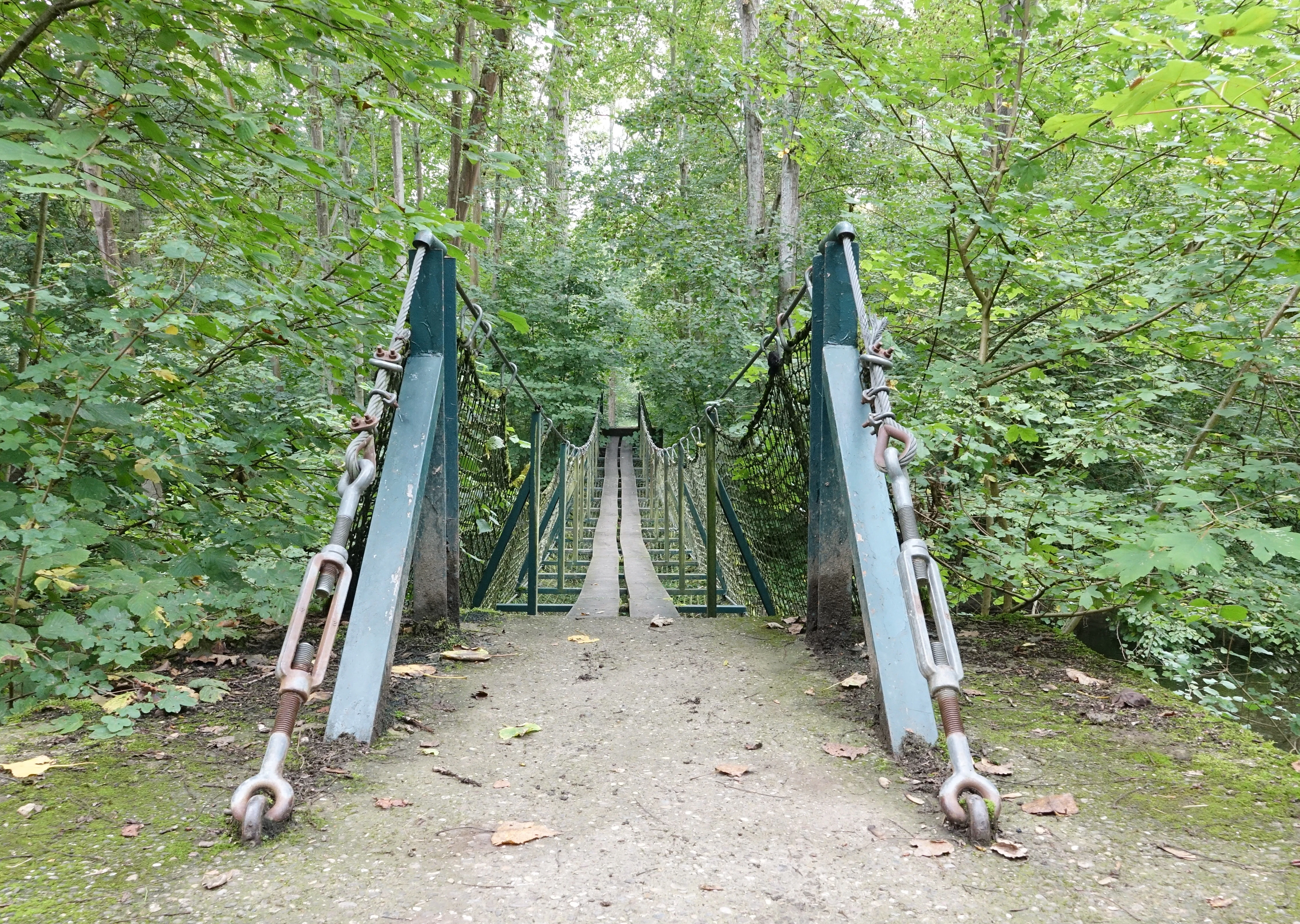 A front-facing view of a narrow, green metal suspension footbridge anchored by large turnbuckles, leading into a dense green forest.