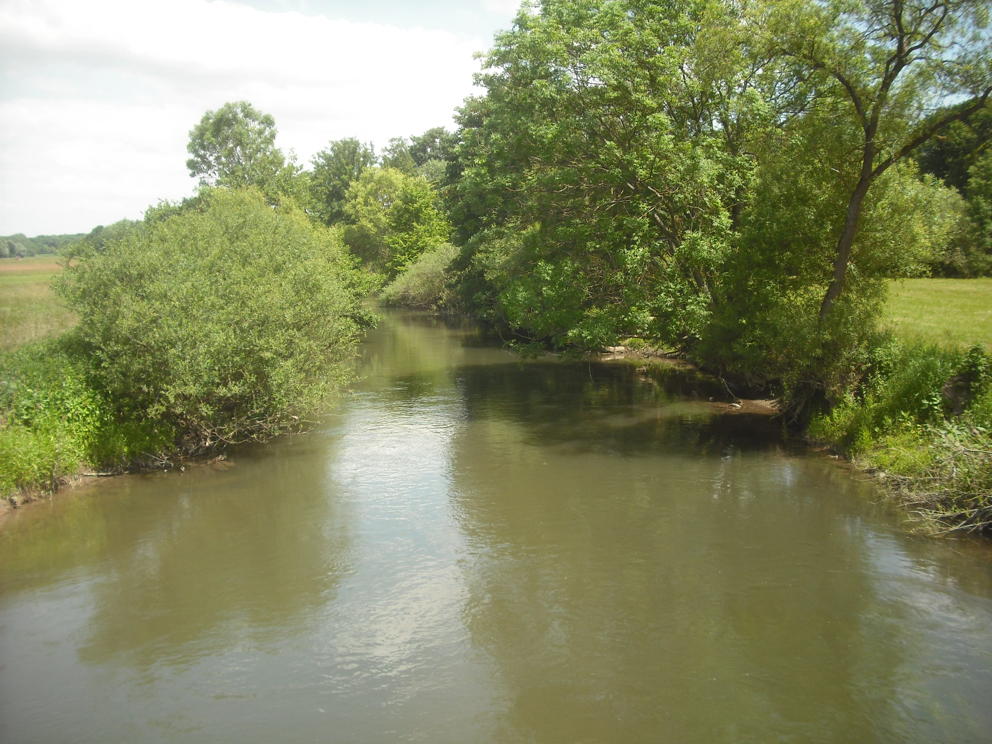 A calm, brown river flowing through a green, tree-lined landscape under an overcast sky.