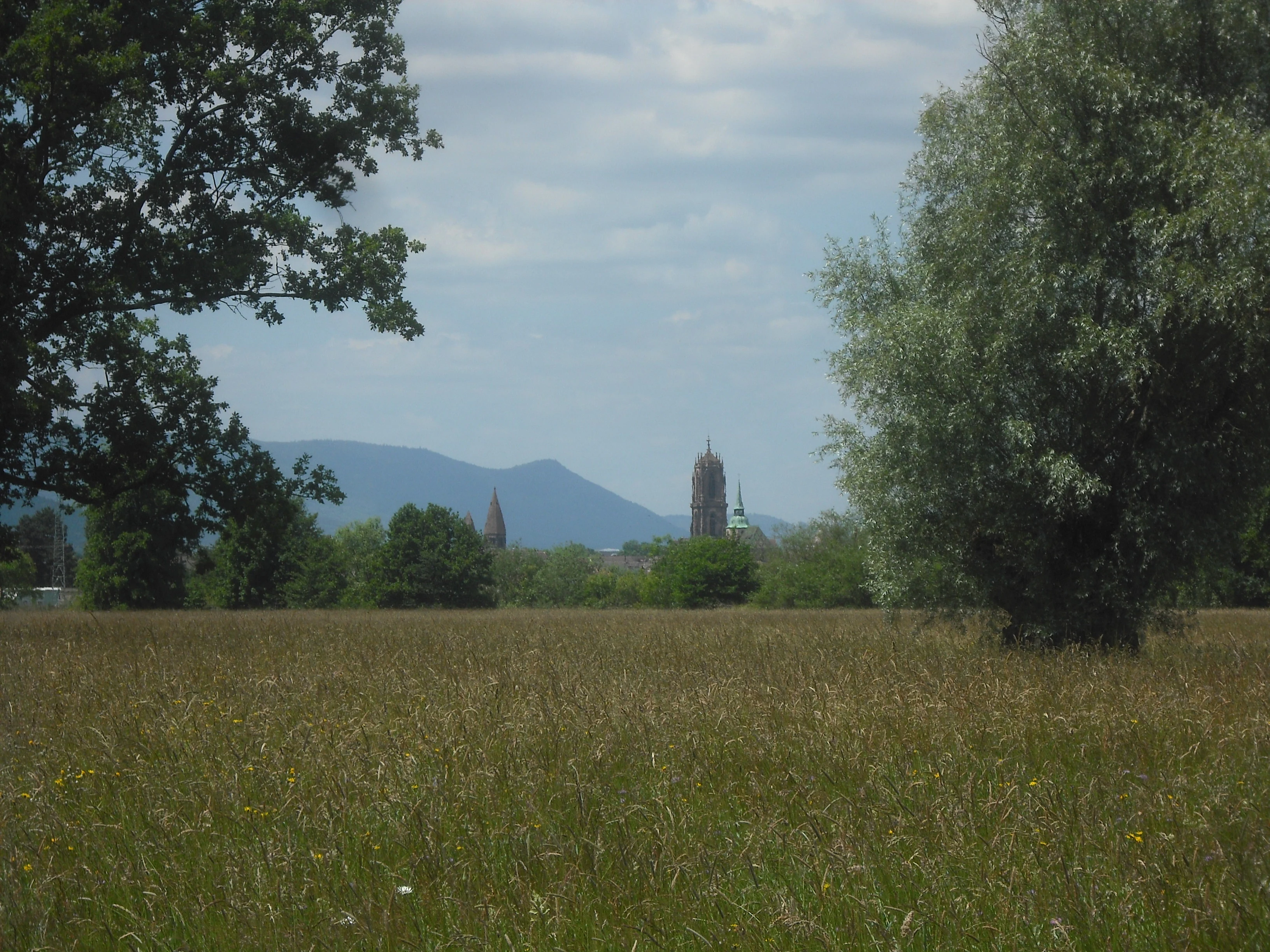 A wide view of a large grassy field under a cloudy sky, with trees framing the left and right sides and the distant silhouette of a church steeple and mountains in the background.