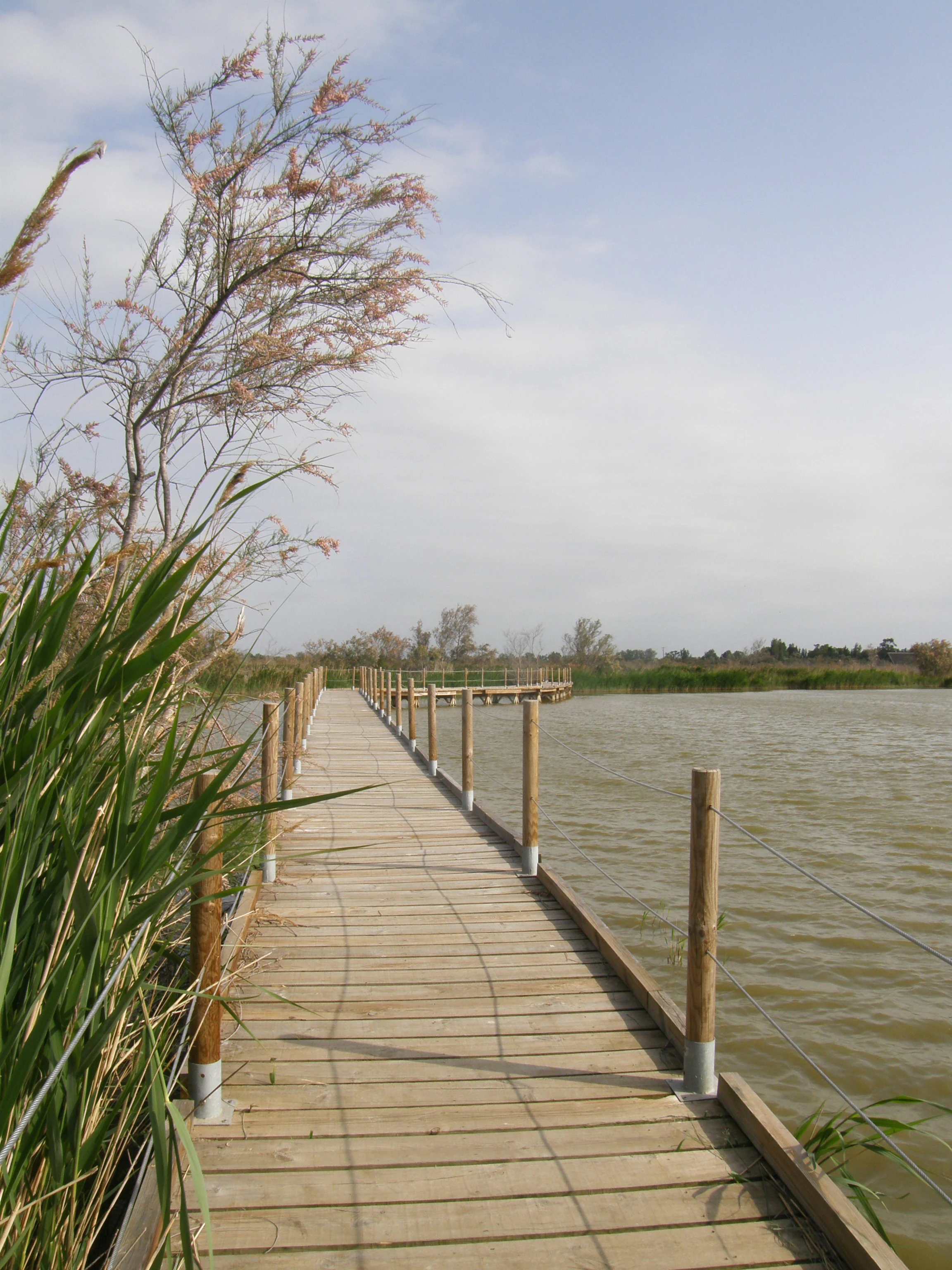 A wooden boardwalk trail stretches over calm wetland water under a cloudy sky, with tall reeds and sparse trees along the side.