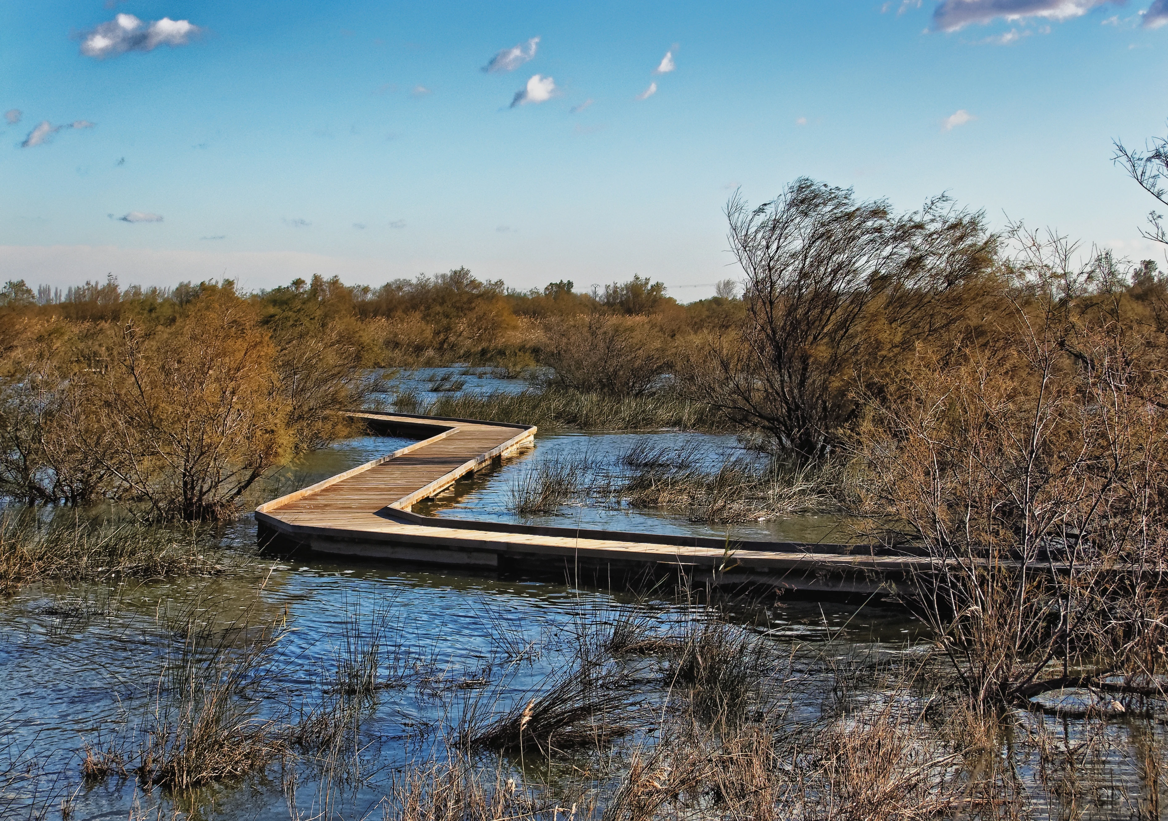 A long wooden boardwalk path curves through shallow marshland surrounded by shrubs and reeds under a blue sky.