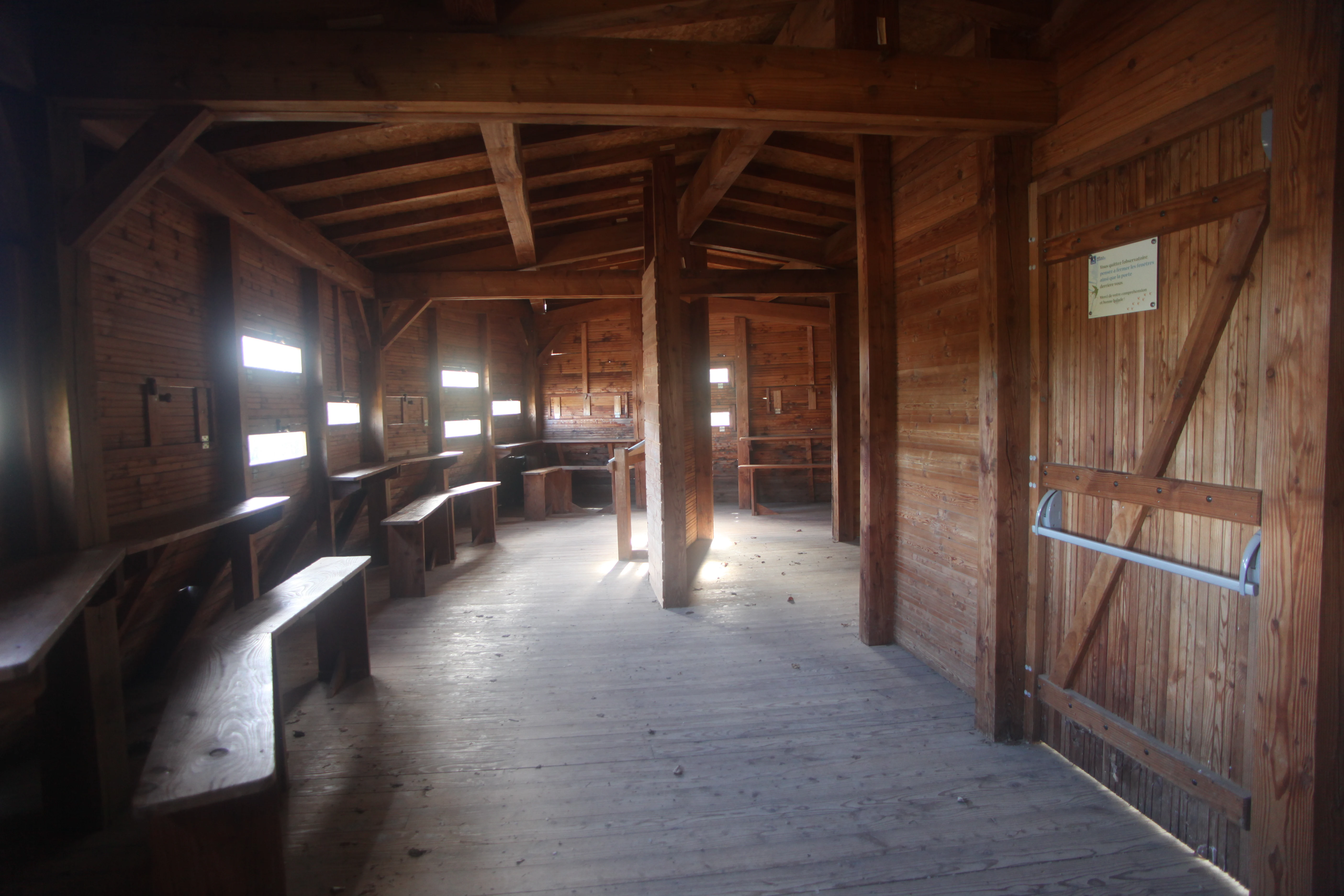 The interior of a rustic wooden building with wooden benches and viewing slits along the walls, indicating a bird-watching or observation shelter.