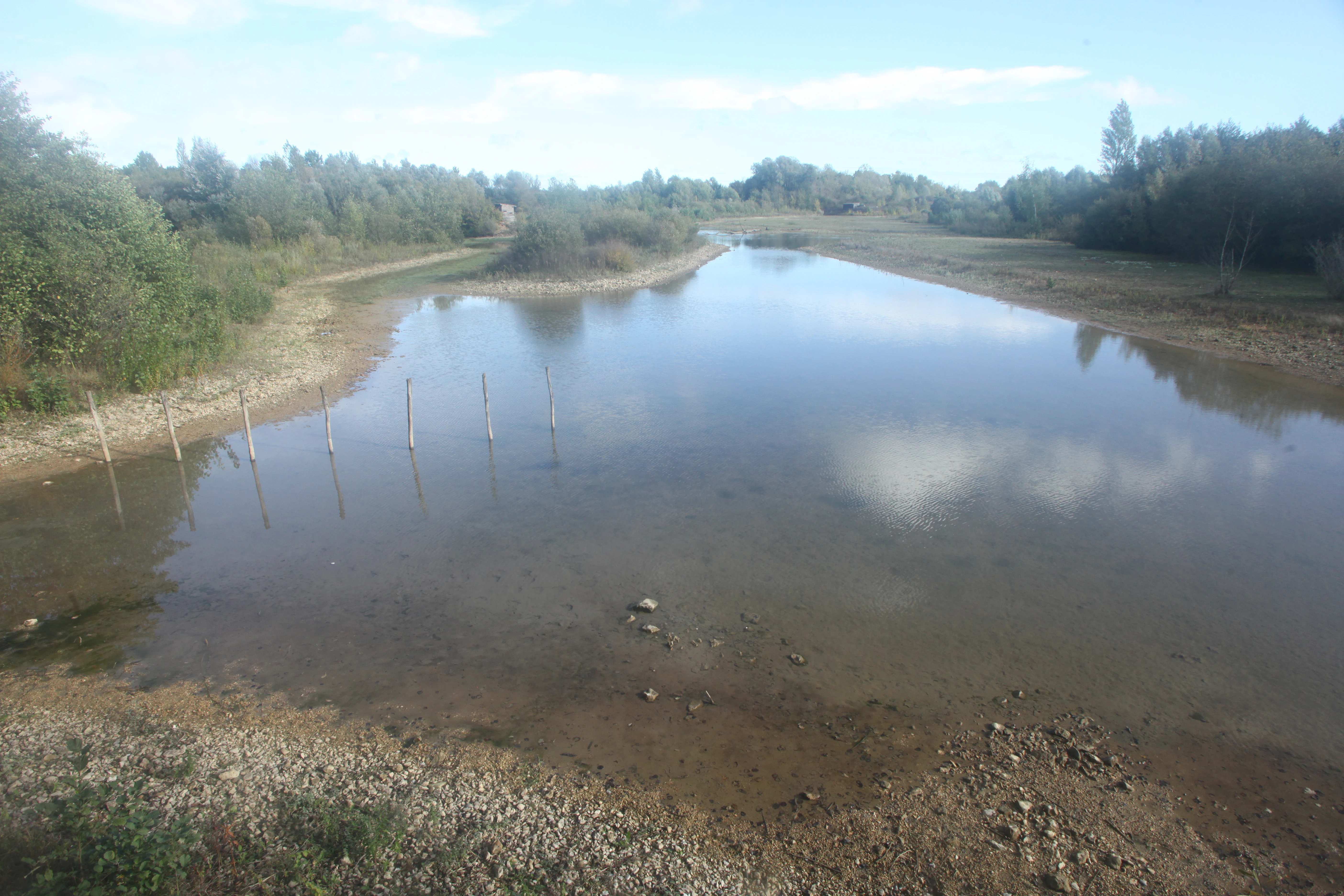 A wide shot of a shallow lake or pond surrounded by trees and vegetation at the Saint-Cyr site in France.