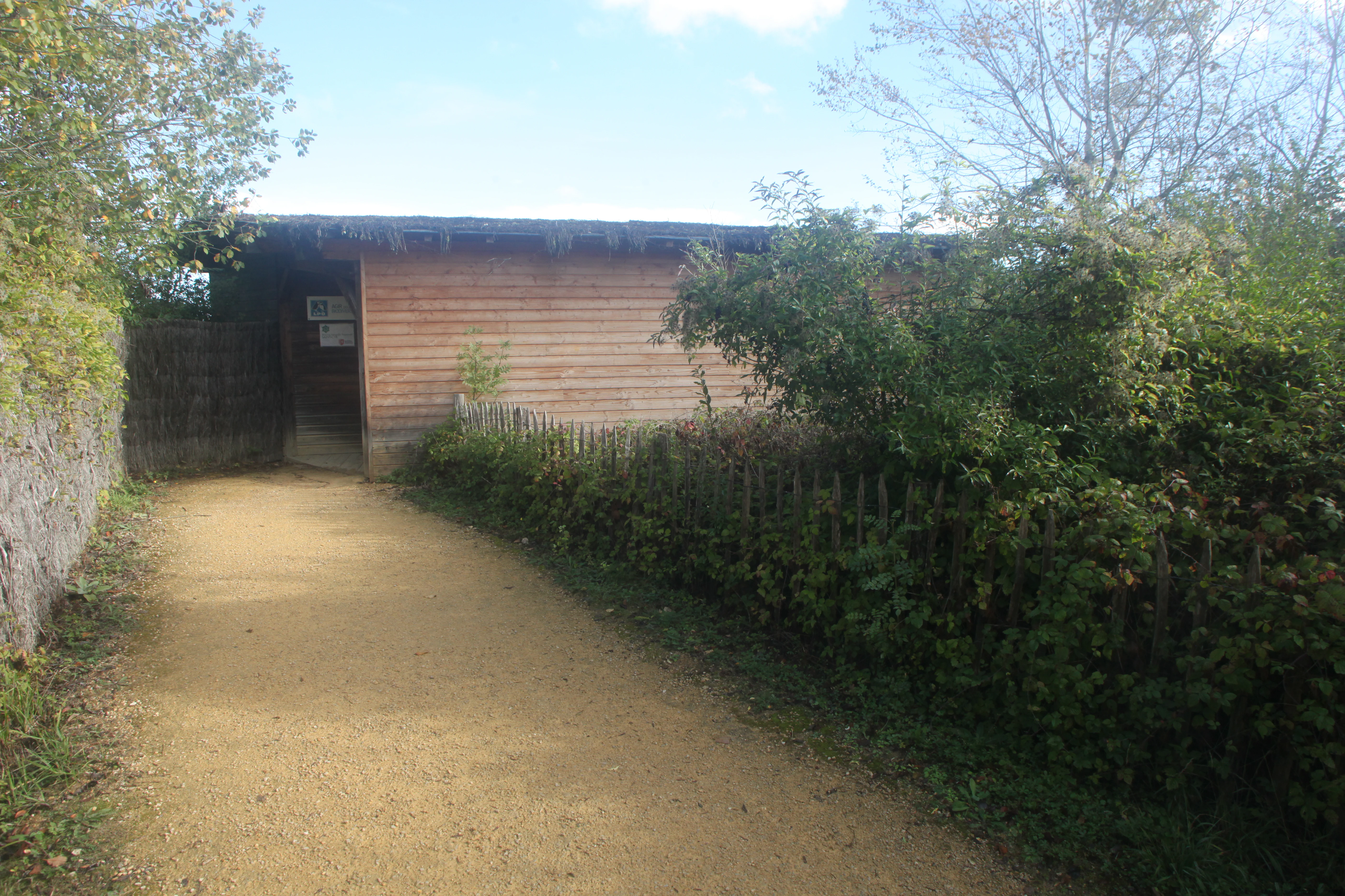 A gravel path leads toward a small, one-story wooden structure nestled among trees and shrubs, with a stone wall visible on the left.