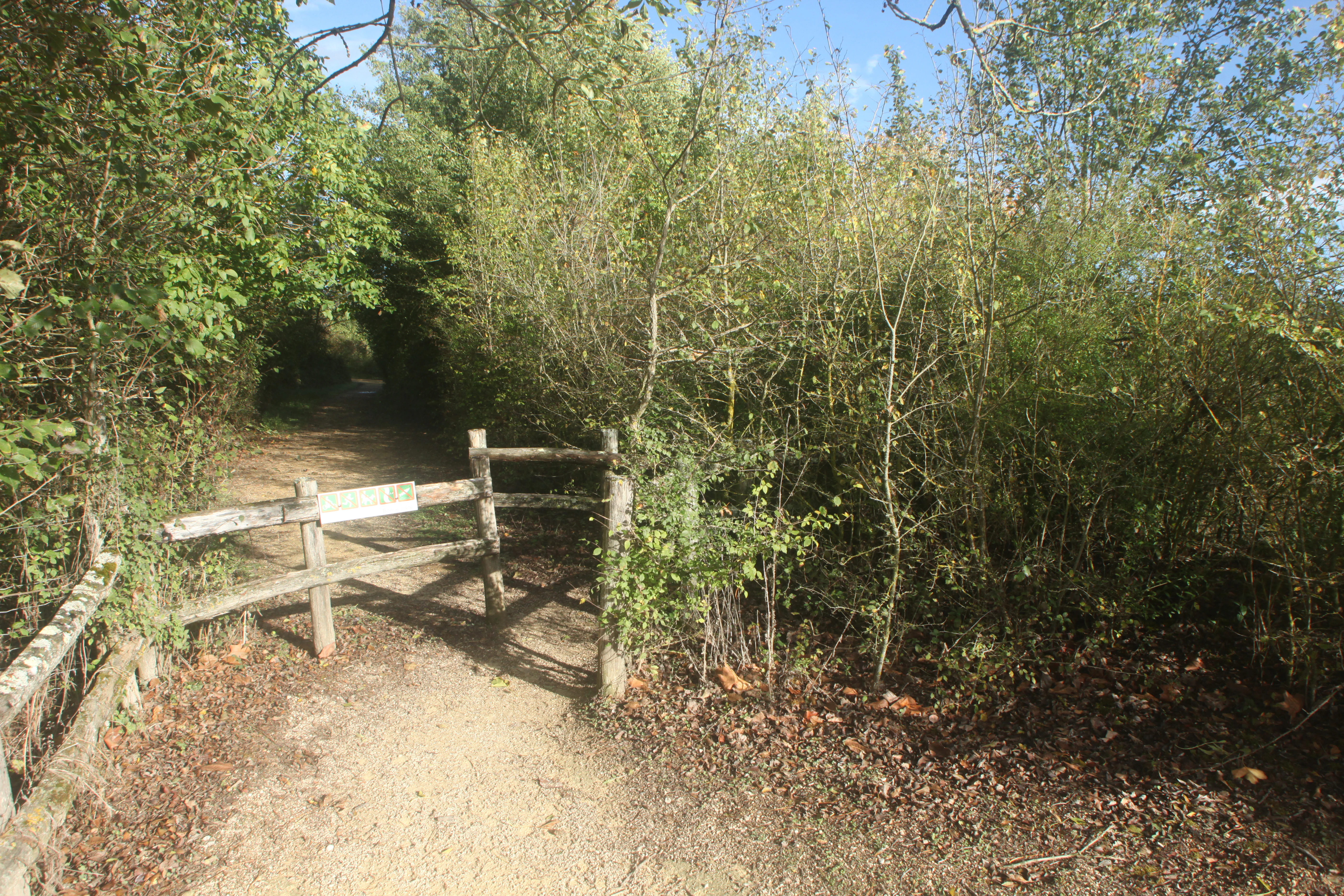 A dirt trail entrance featuring a rustic wooden fence and gate, surrounded by dense trees and shrubs.