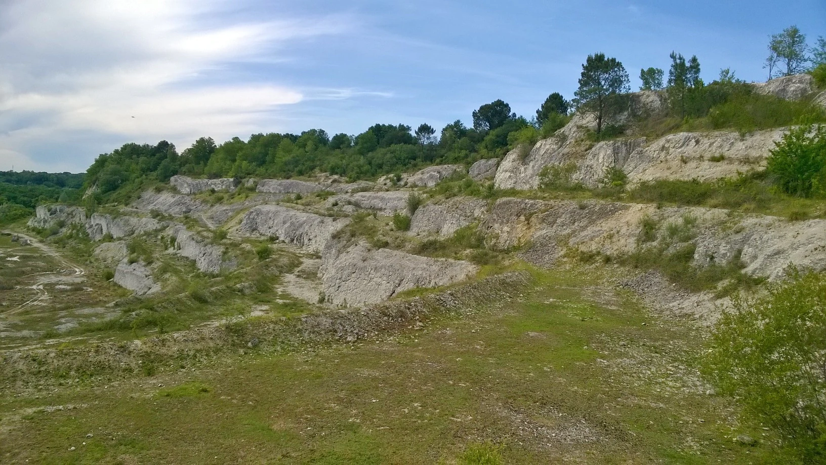 Una vista amplia a nivel de los ojos de una cantera de piedra caliza abandonada y en terrazas que muestra capas de roca blanca expuestas, hierba escasa y vegetación arbustiva contra un cielo azul.