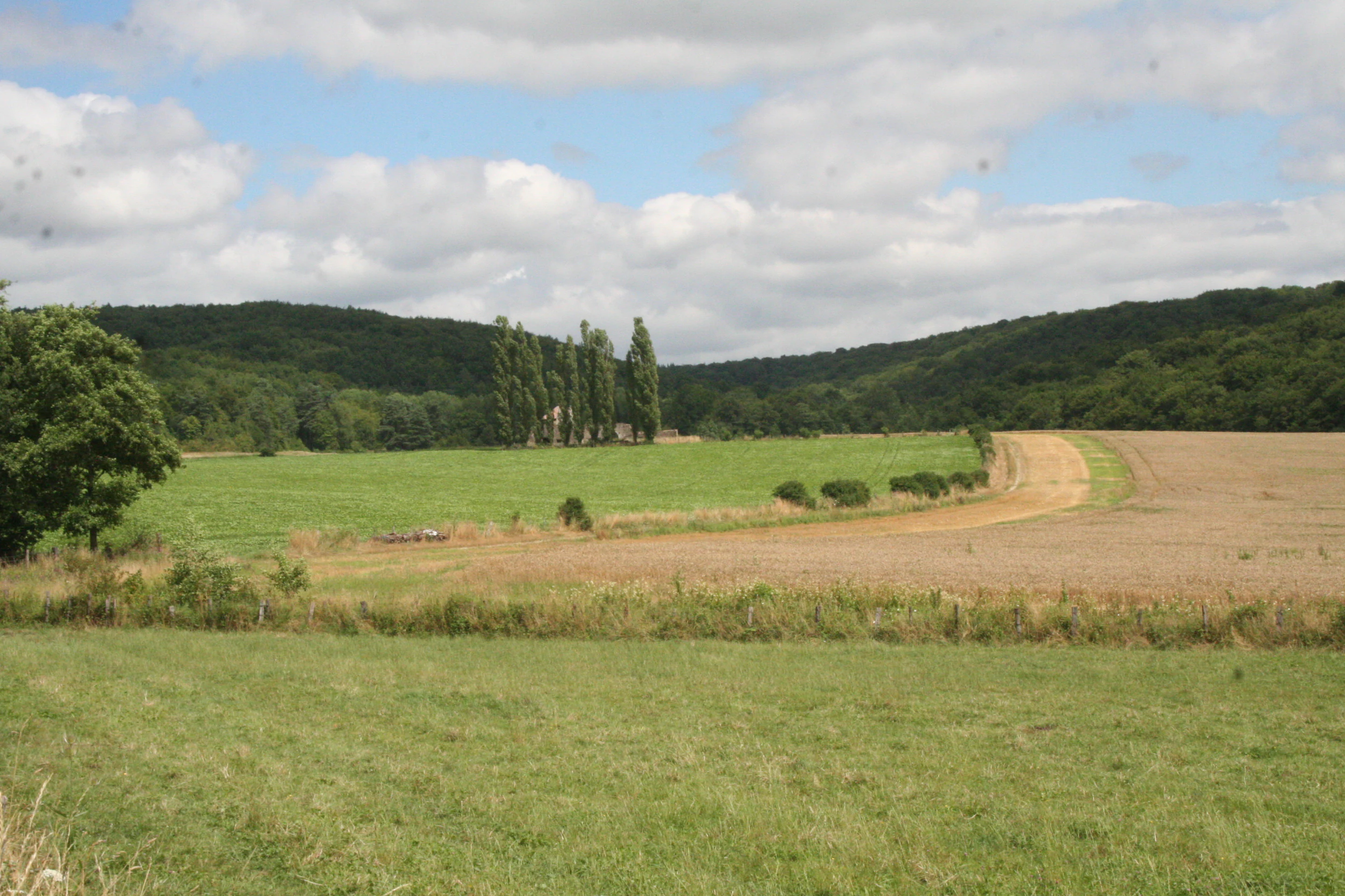 A wide outdoor view of open green fields with a dirt path winding through; in the background are low, tree-covered rolling hills under a partly cloudy sky.