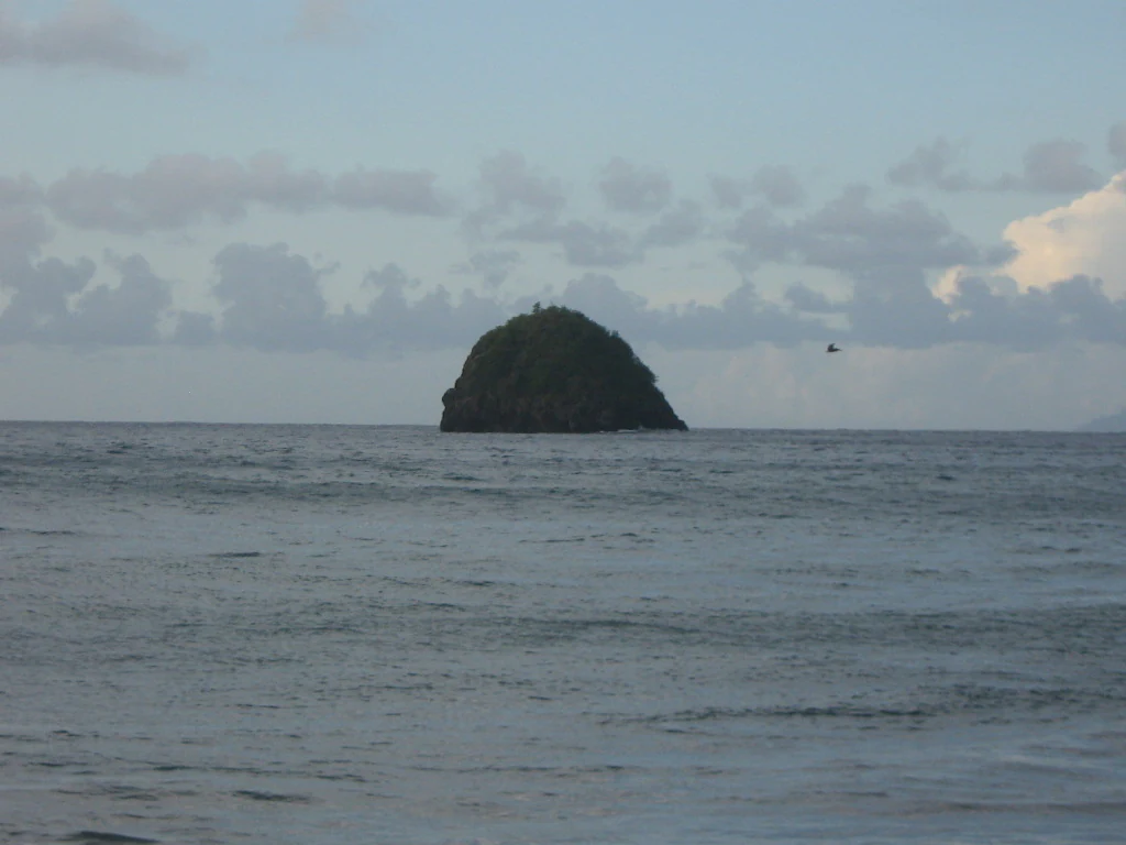A distant view of a small, steep-sided, vegetated rocky island rising out of the open ocean under a cloudy sky.