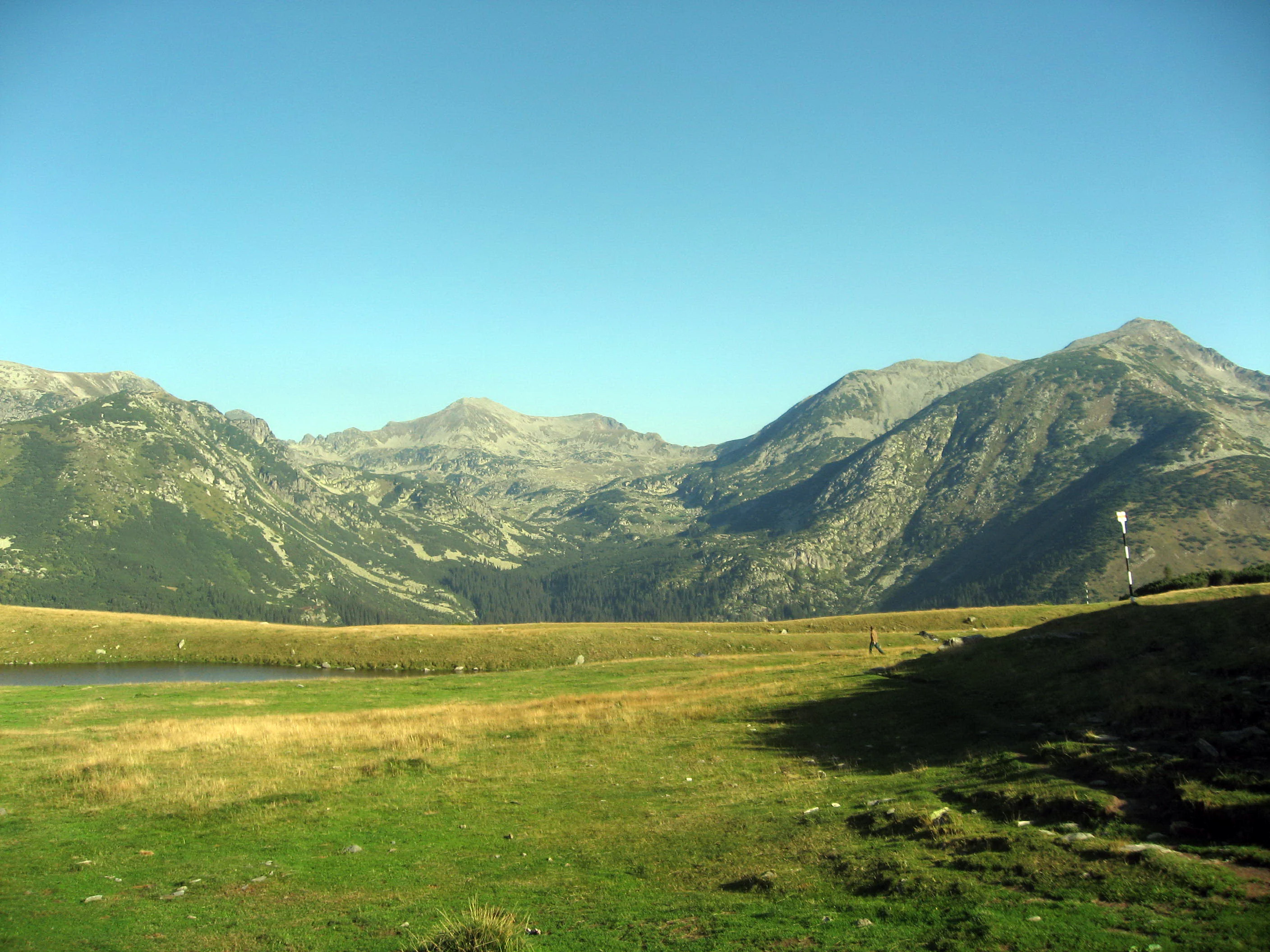 Grassy field leading to mountain peaks under a clear blue sky