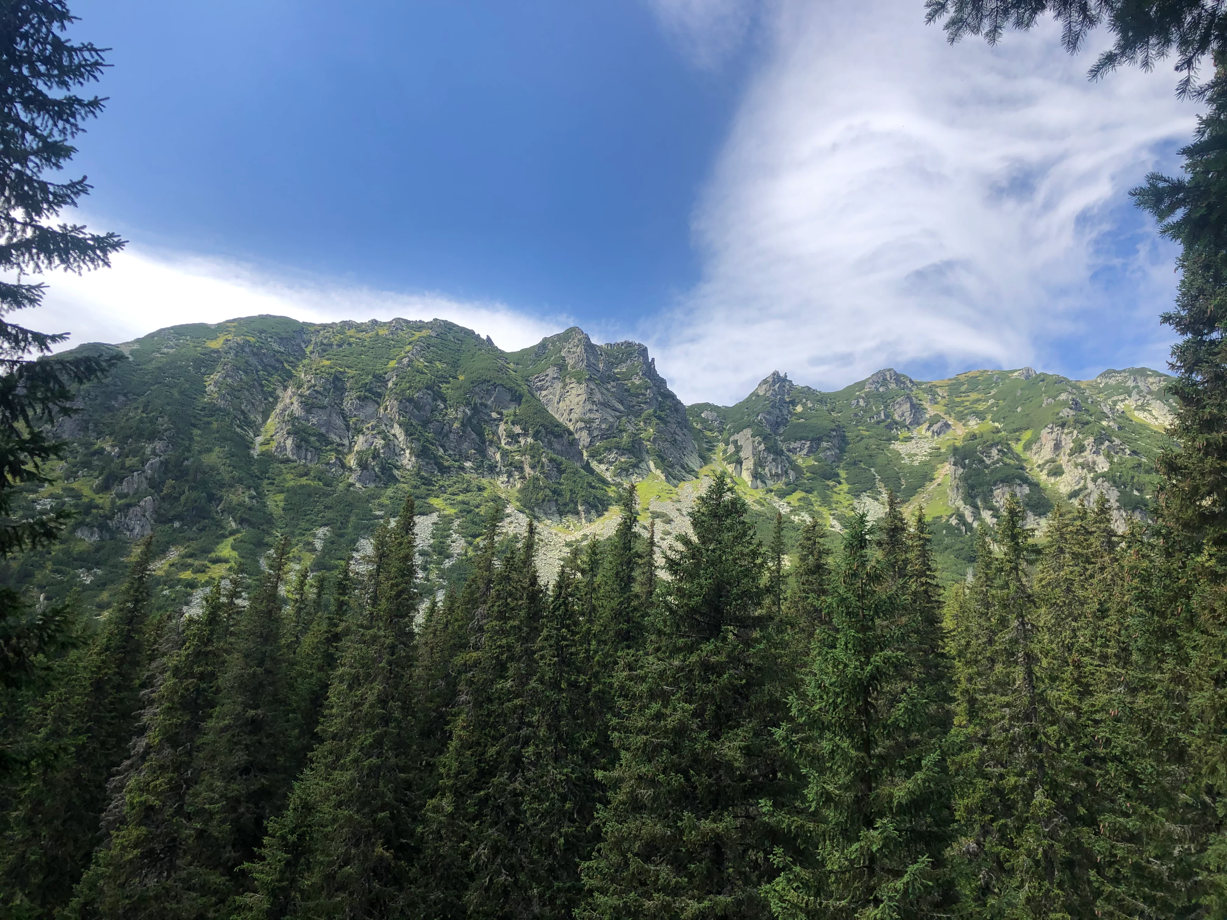 Wide view of Retezat National Park showing rocky mountain peaks, dense pine forests, and clear blue sky