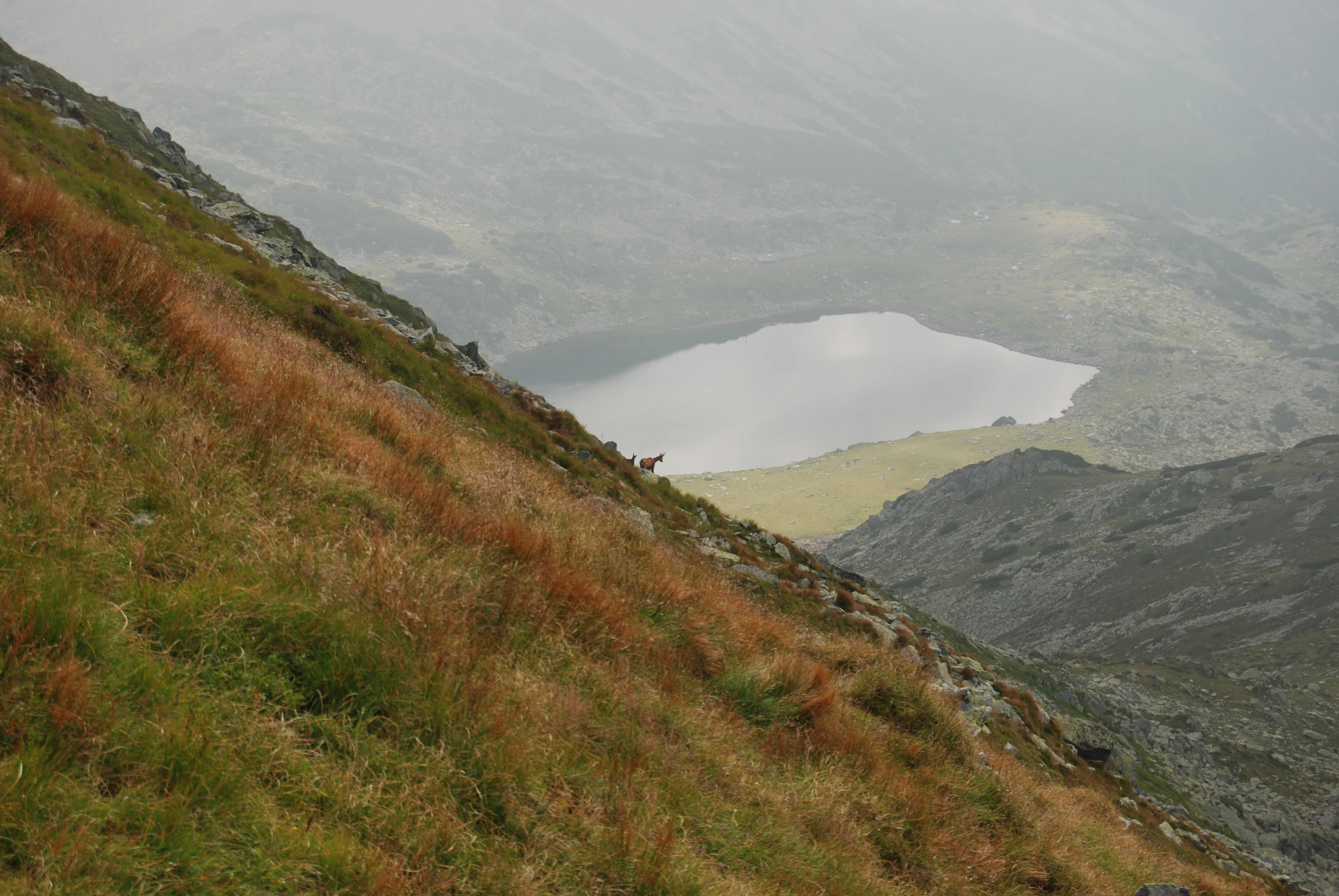 Mountain slope with mixed green and brown vegetation leading down to Bucura Lake in the valley below