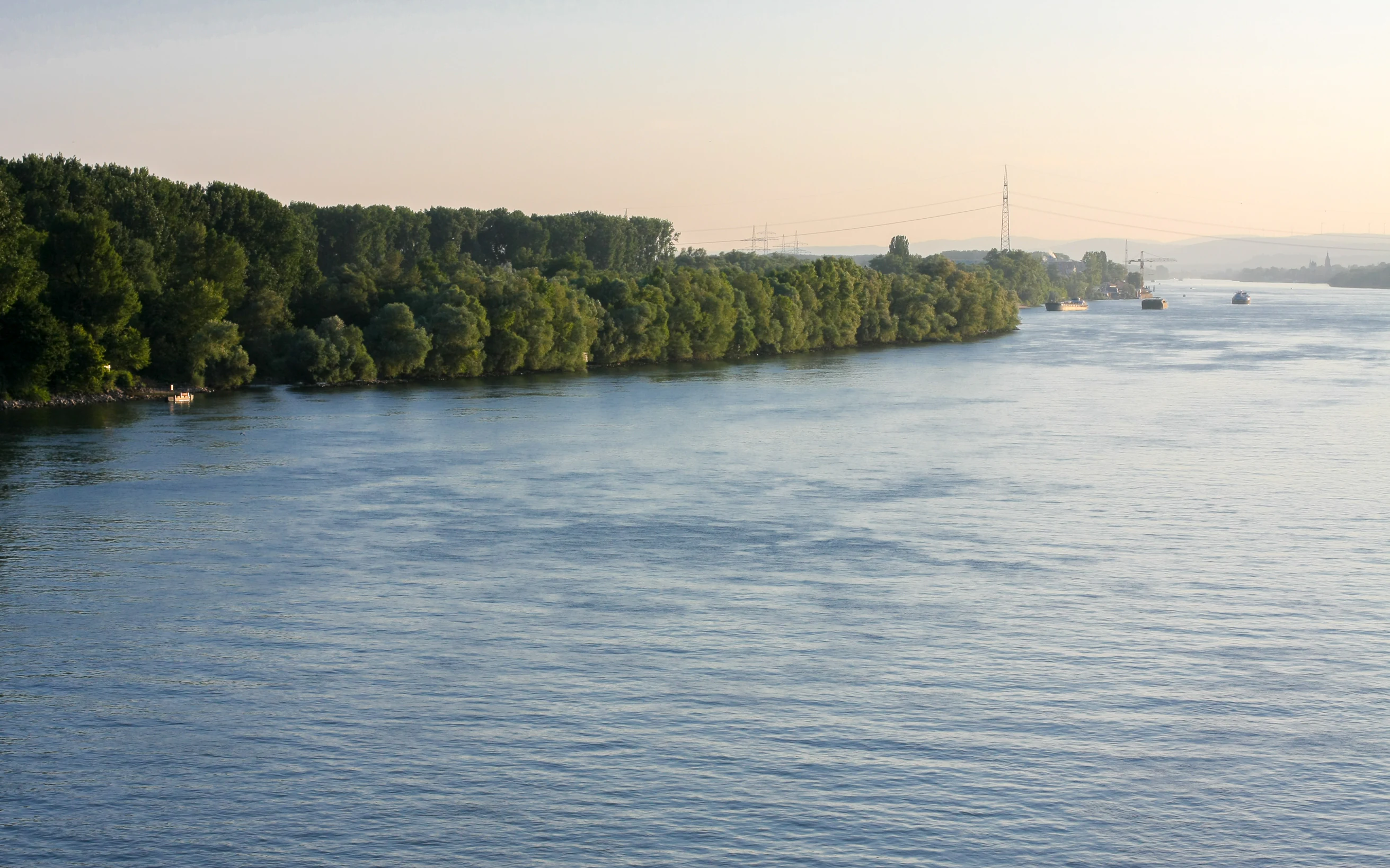 A wide river with a dense line of green trees along the left bank and a hazy horizon in the distance with distant ships.
