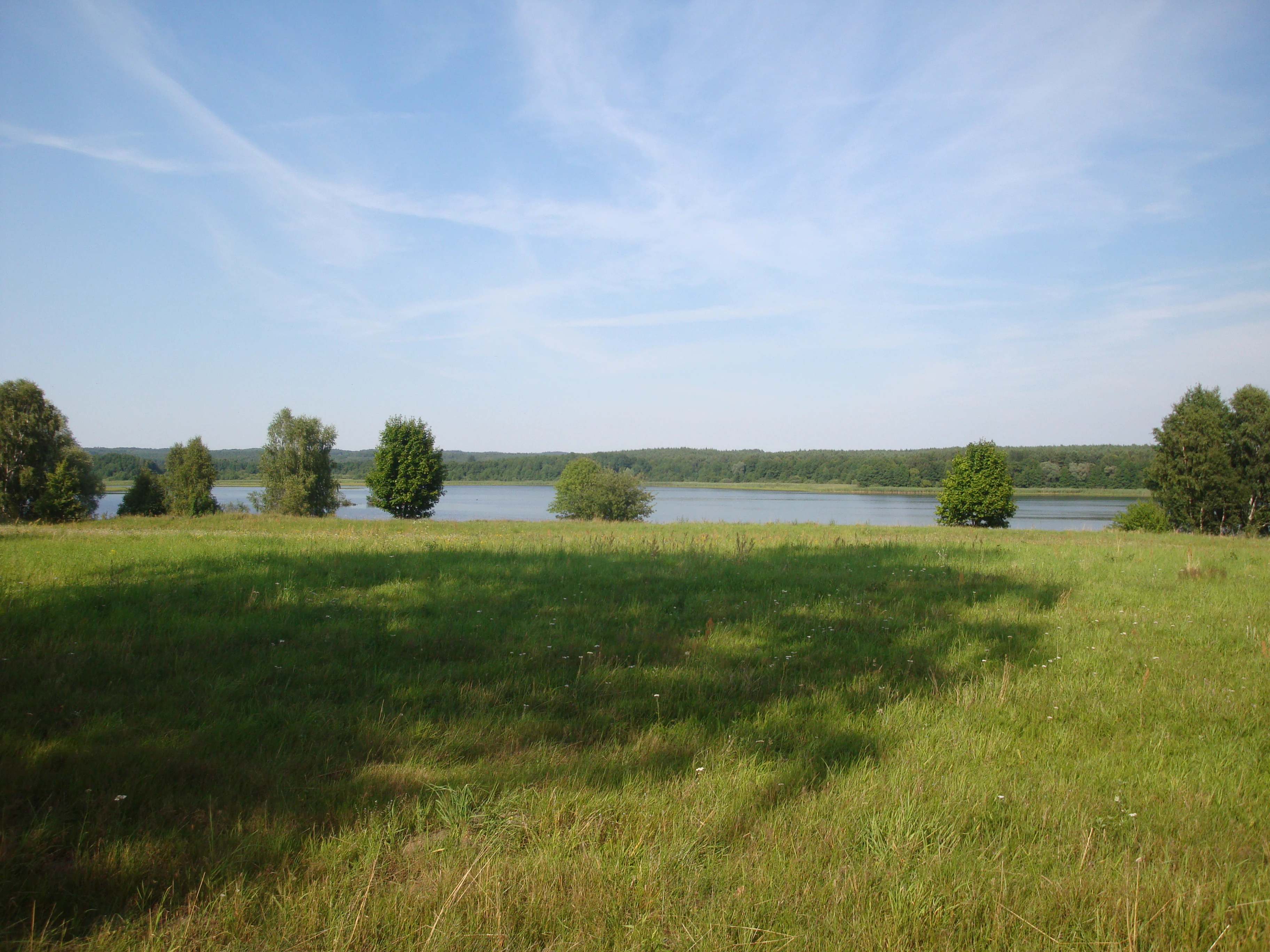 Un plano general que muestra un prado verde y herboso en primer plano que conduce a un lago tranquilo con árboles a lo largo de la orilla lejana bajo un cielo azul con nubes ligeras y tenues.