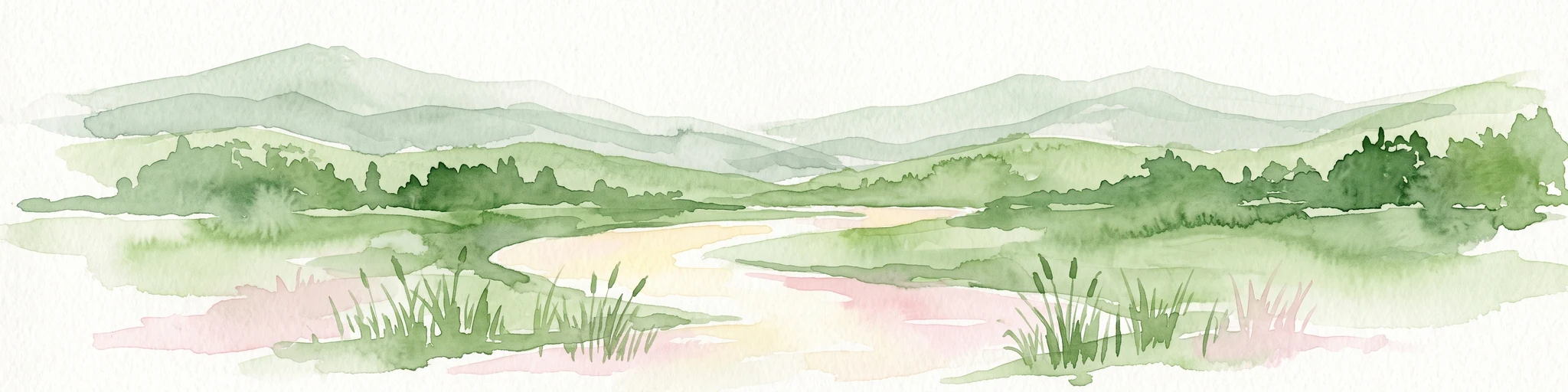 Watercolor illustration of a winding stream flowing through a green valley with rolling hills in the background and reeds in the foreground.
