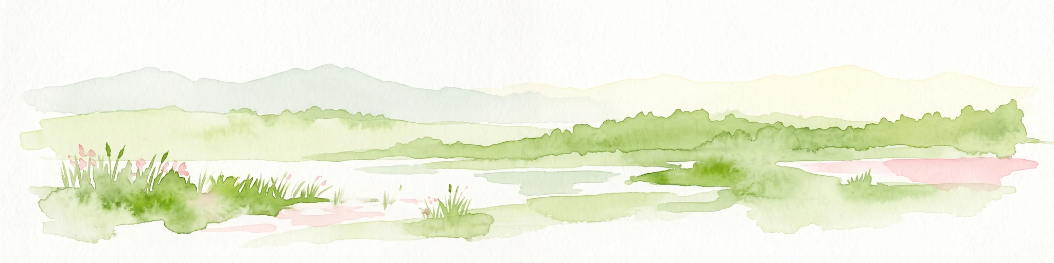 Una suave pintura a la acuarela que muestra un paisaje verde y pantanoso con hierbas altas, agua tranquila y suaves colinas onduladas al fondo.