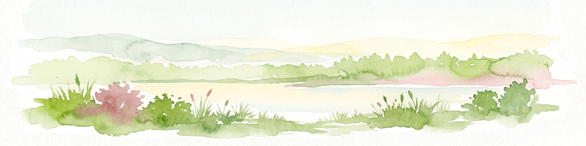 Una ilustración horizontal en acuarela que representa un lago tranquilo con orillas pantanosas, juncos y colinas bajas a lo lejos.