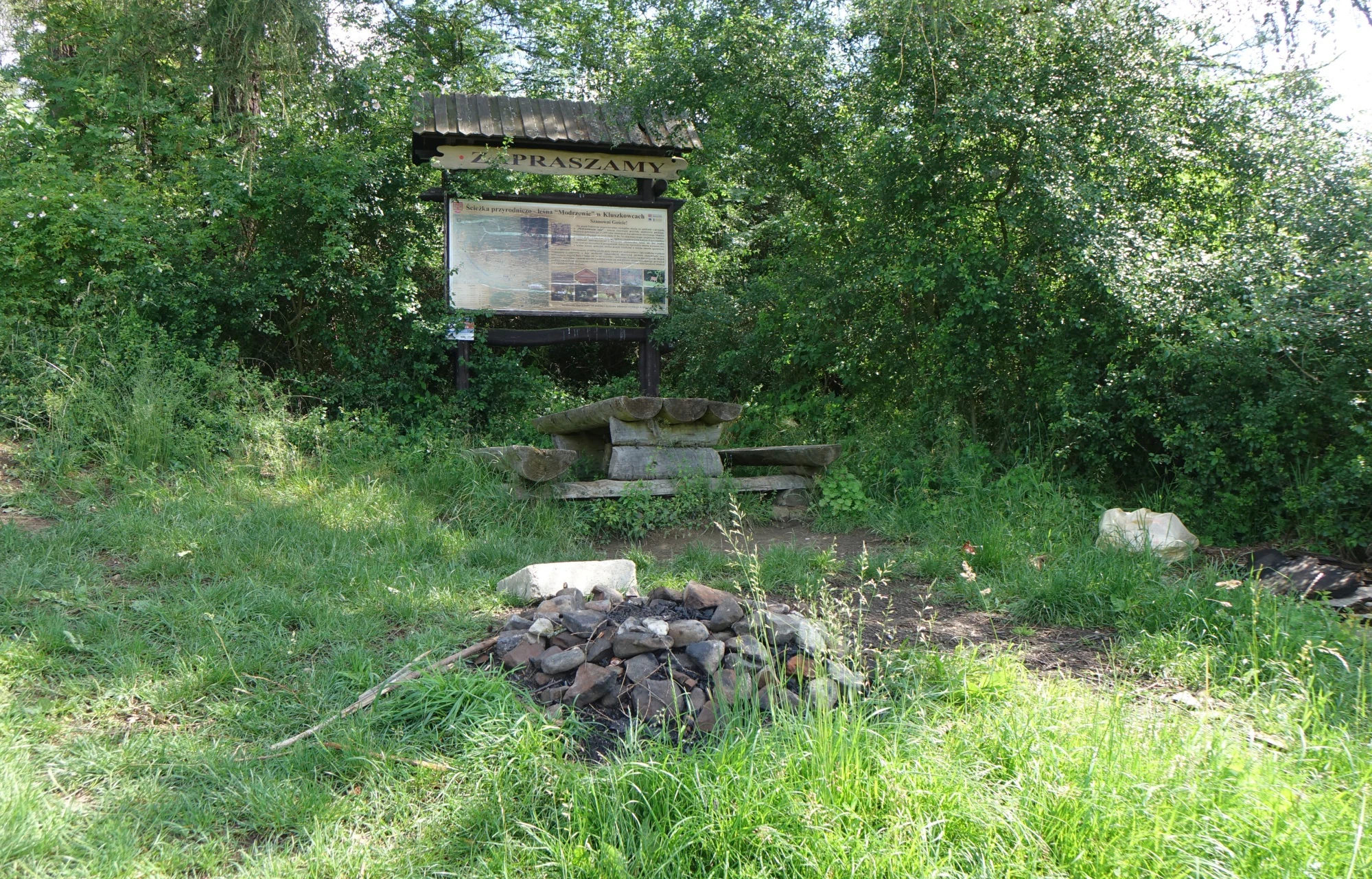 A wooden information sign stands in a grassy clearing in front of dense forest, with a small stone fire pit and a wooden picnic bench in the foreground.
