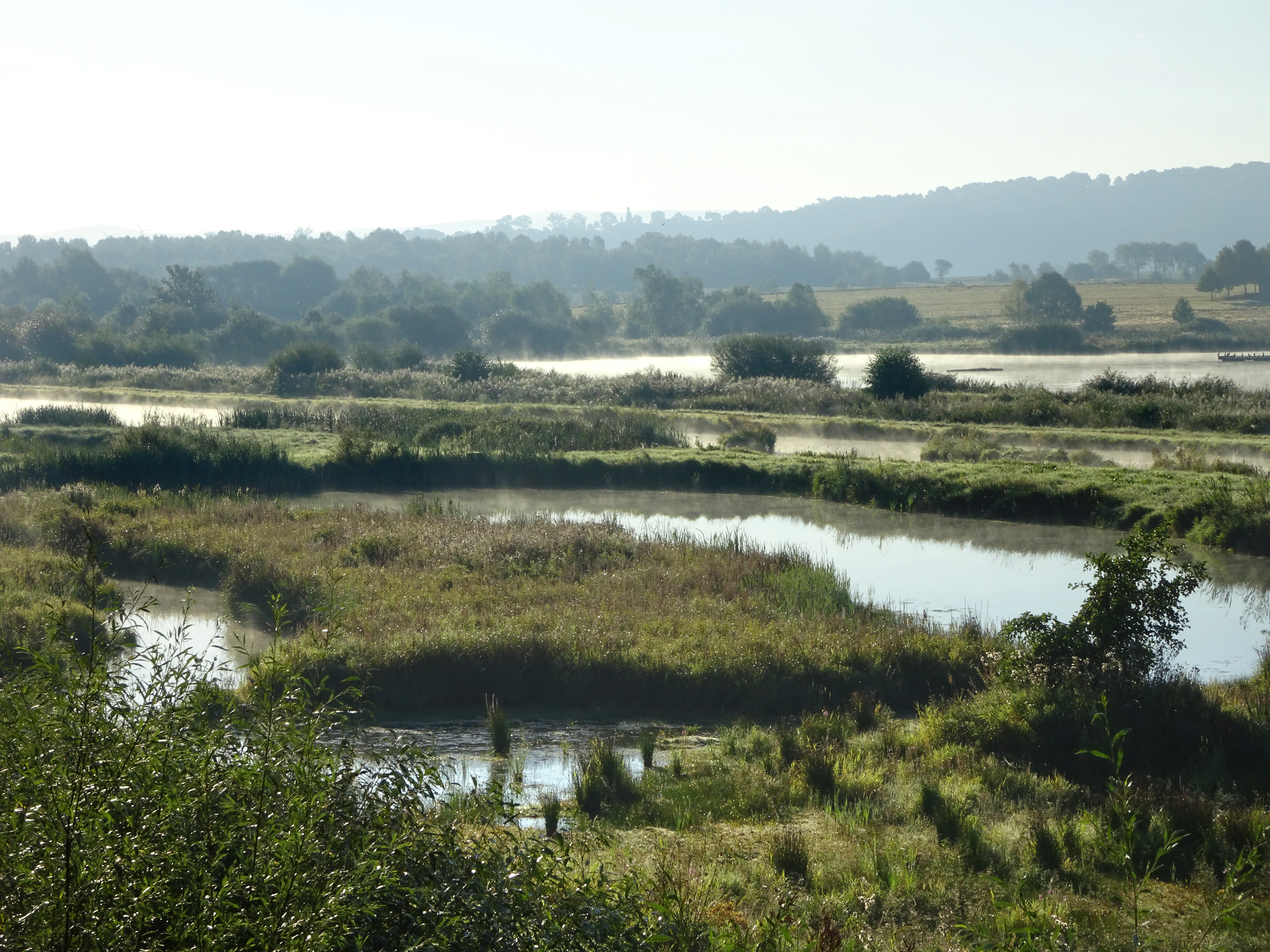 A wide view of a wetland landscape featuring small ponds and grassy islands under a misty, overcast sky with rolling hills in the background.