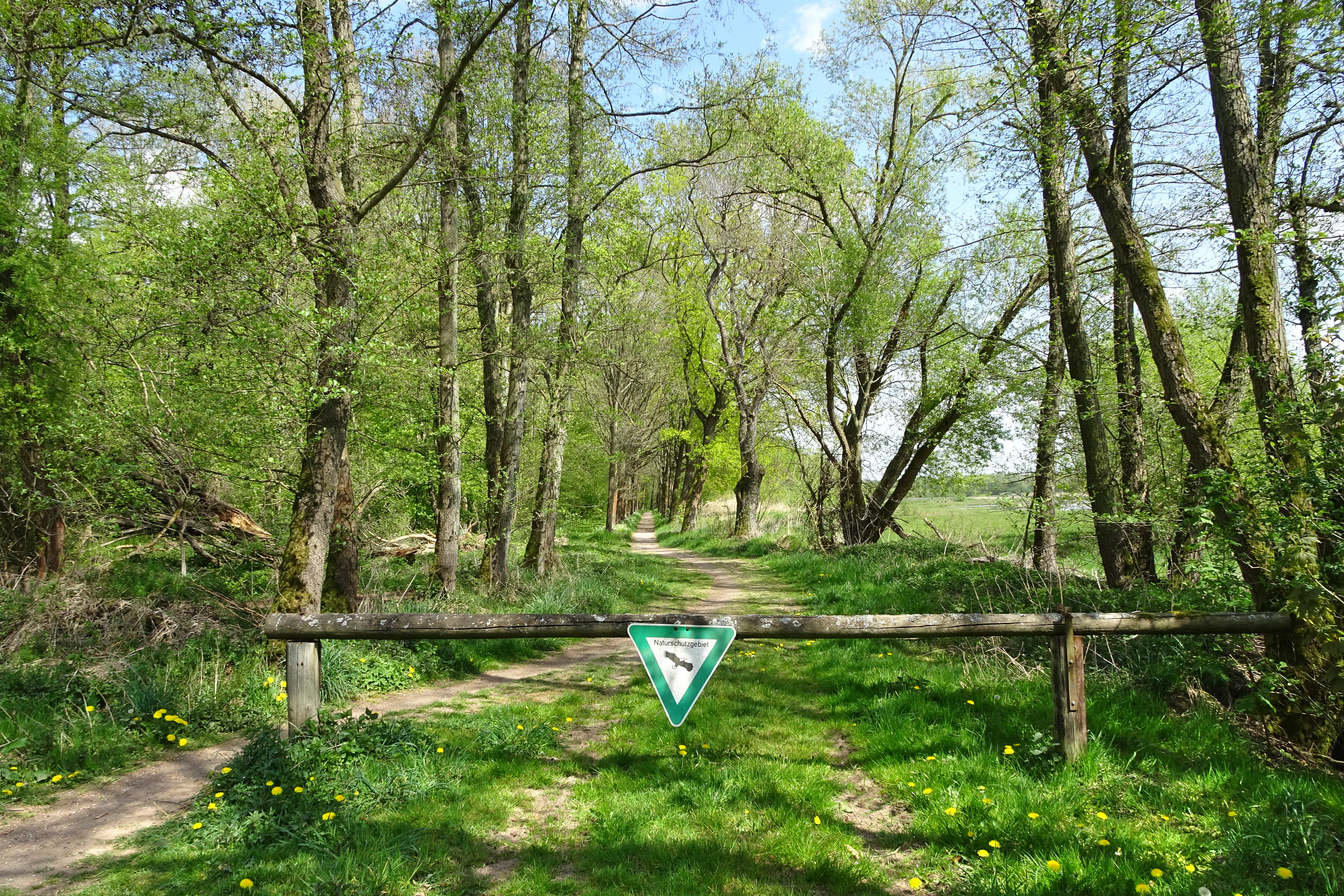 A dirt path leads into a lush, green forest, blocked by a wooden barrier featuring a triangular nature reserve sign.
