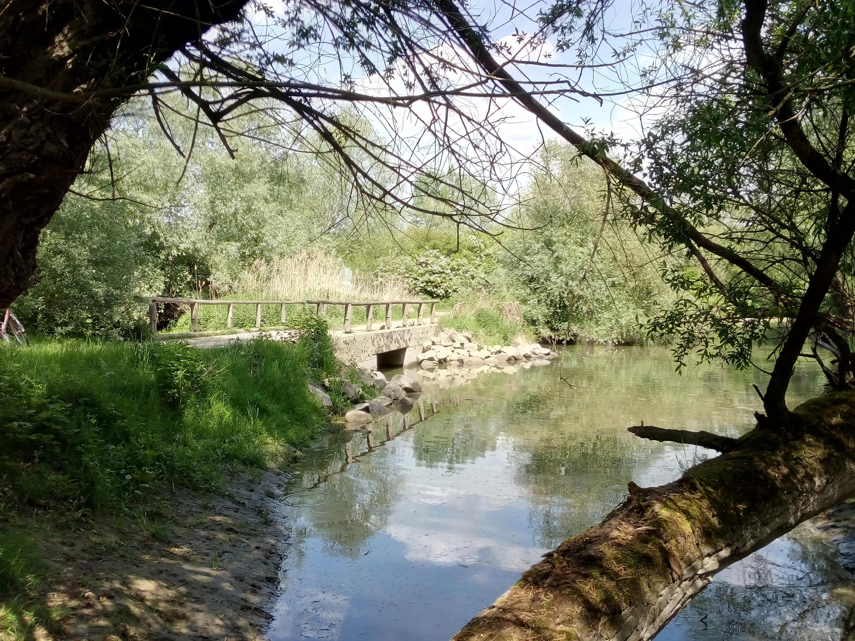 A calm stream flowing under a wooden pedestrian bridge, framed by lush trees and a fallen mossy log in the foreground.