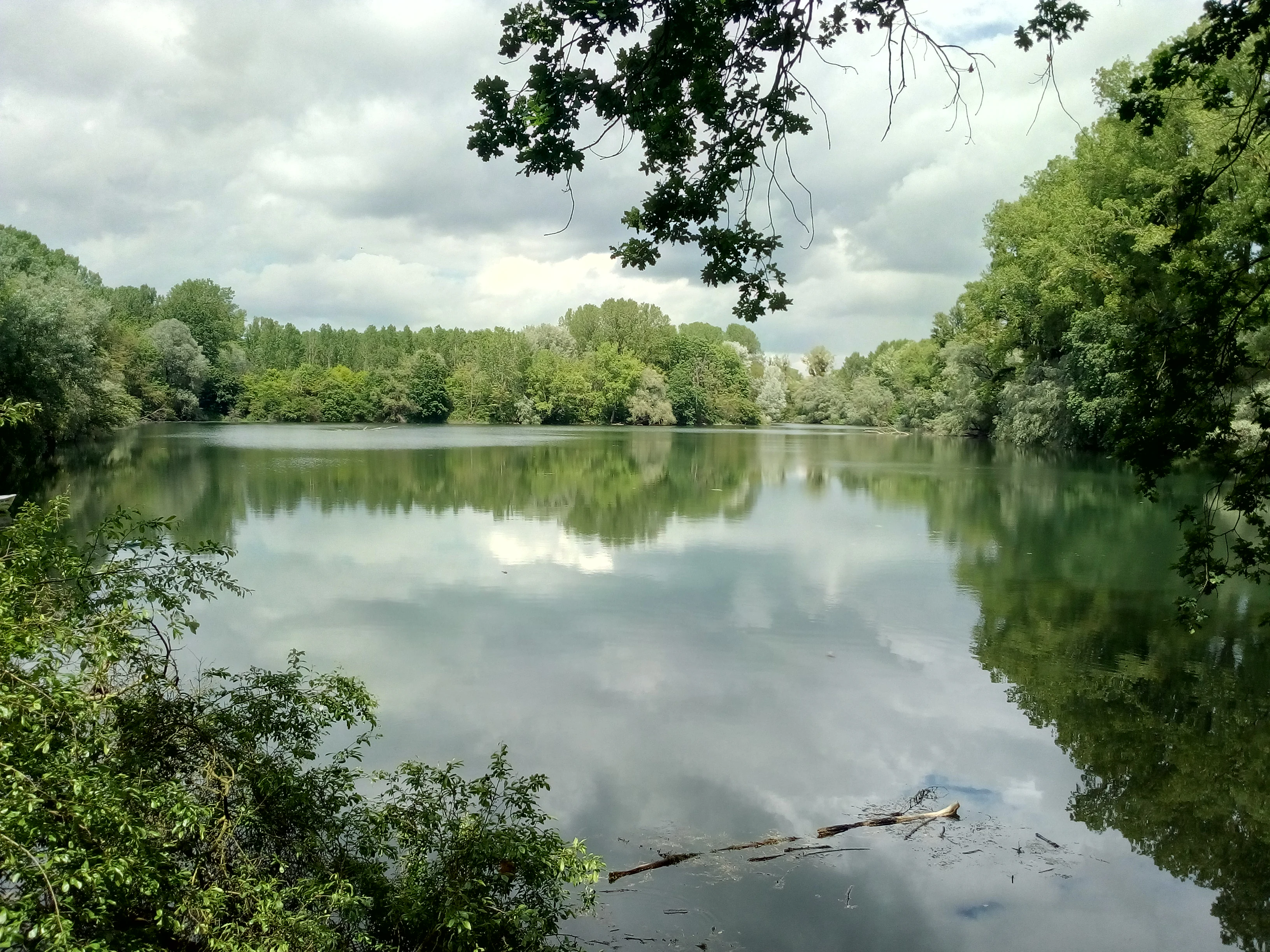 A calm, still pond surrounded by lush green floodplain forest under a cloudy sky.
