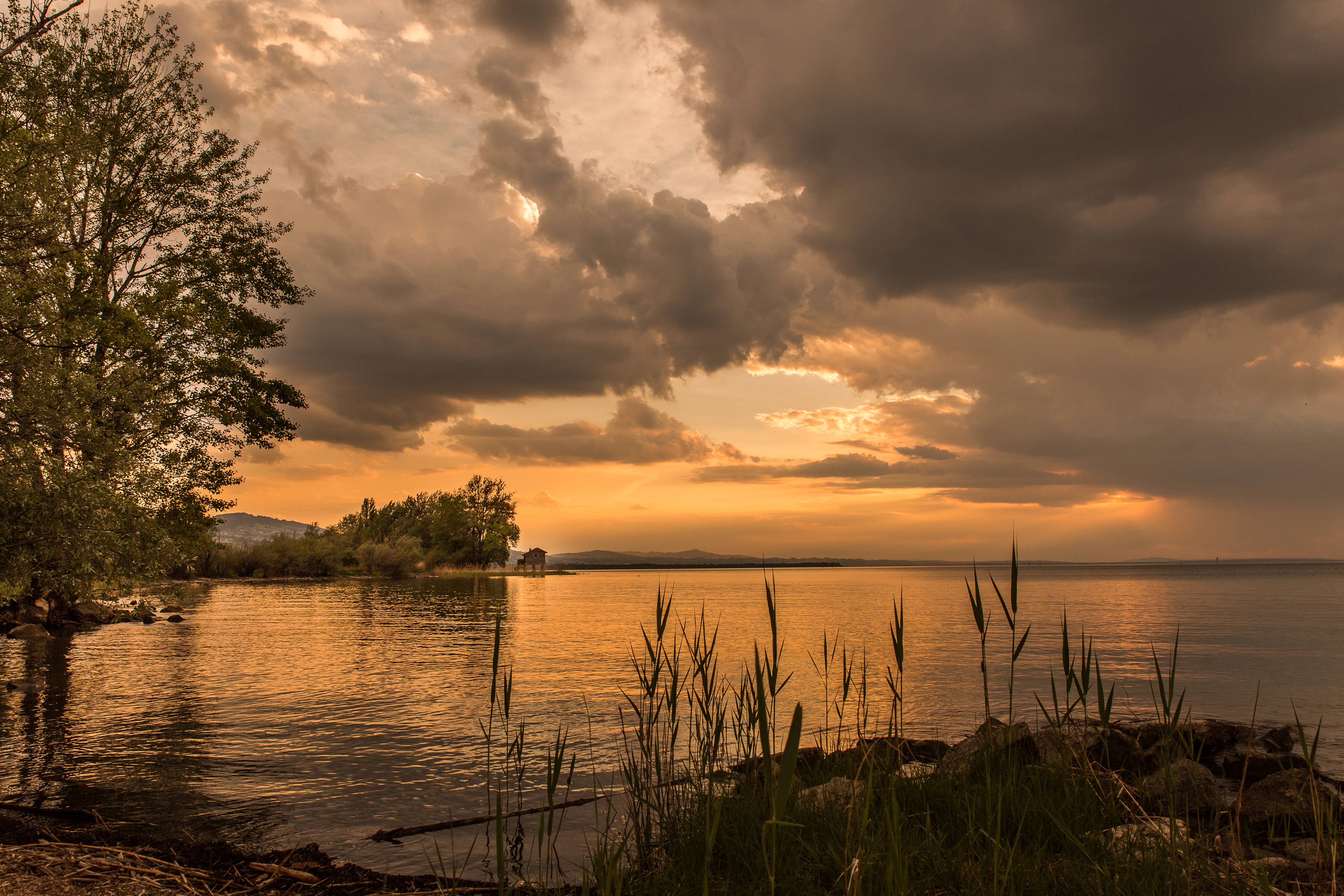 A peaceful lake landscape at sunset, with reeds in the foreground, trees on the left shore, and dark, dramatic clouds illuminated by the golden light.