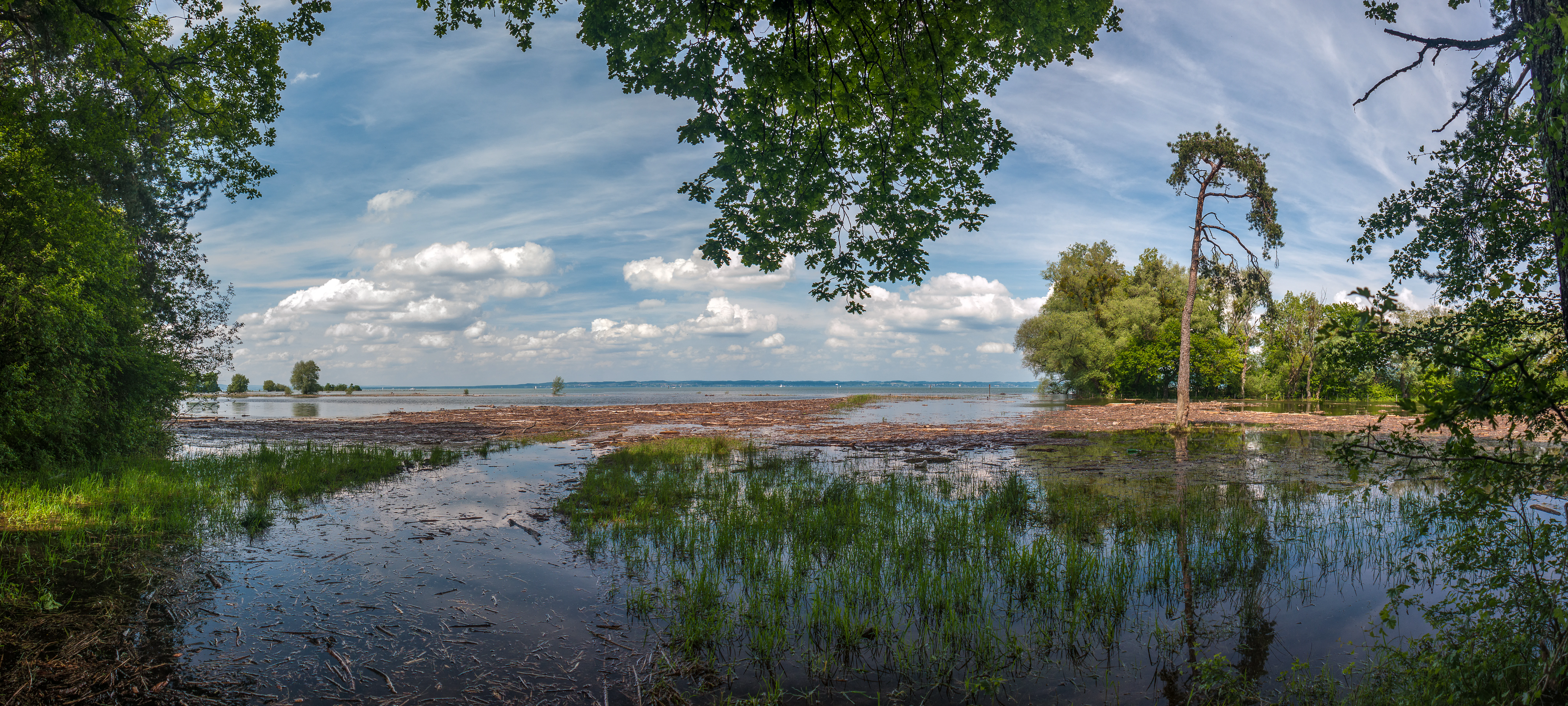 A wide panorama showing a flooded wetland area with submerged trees and vegetation leading out to a large body of water under a blue, cloudy sky.