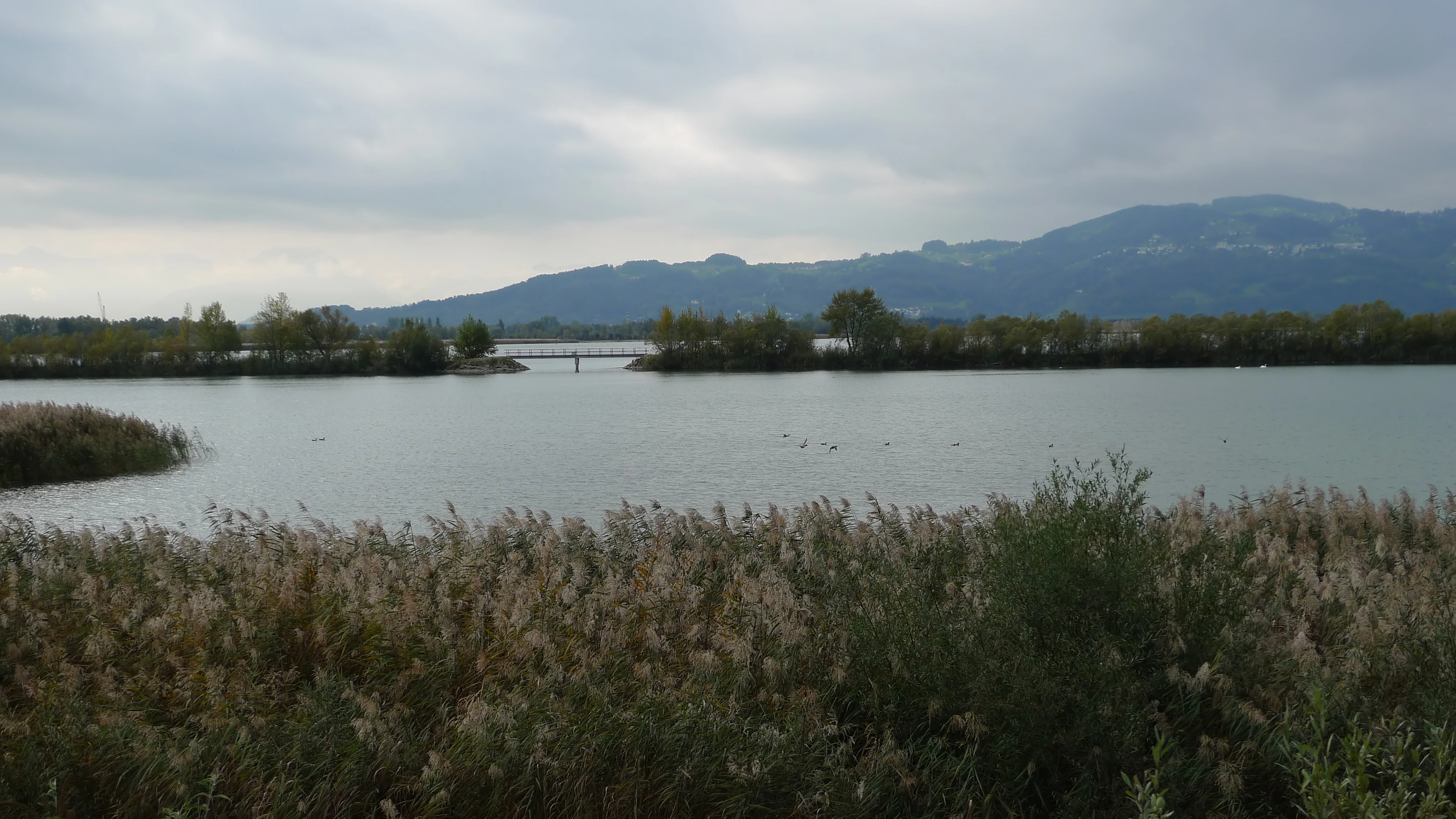 A wide landscape view of a calm, greyish-blue lagoon surrounded by dense reeds and marsh vegetation, with a distant bridge connecting a strip of land and hazy mountains on the horizon under a cloudy sky.