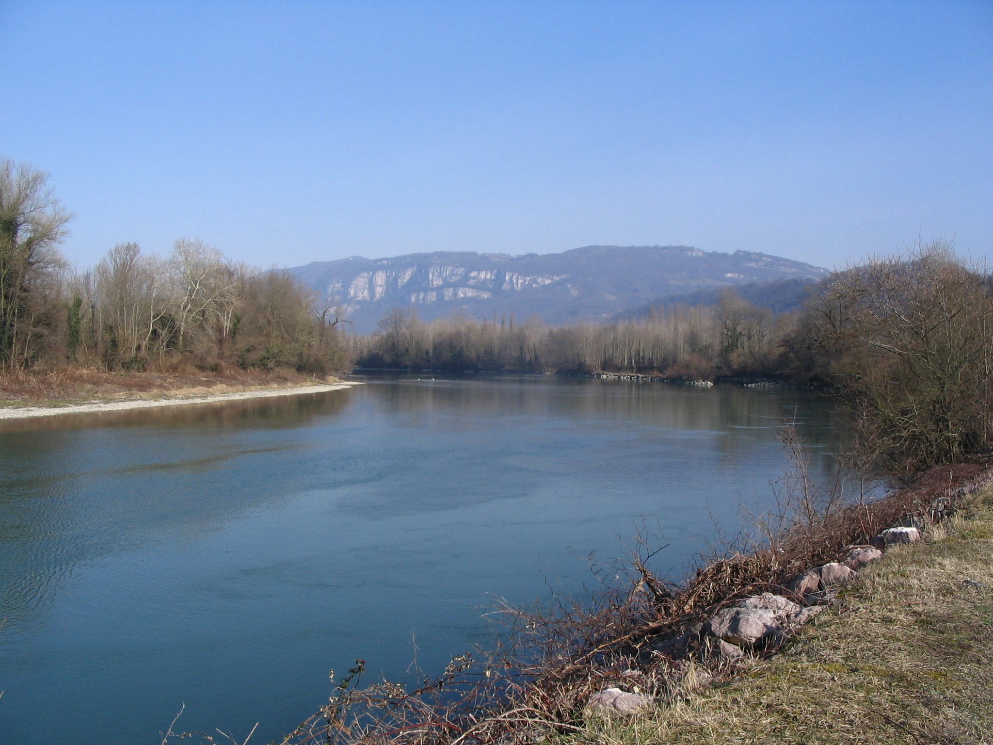 A wide view of the Rhone River with forested banks under a clear blue sky, with a mountain ridgeline visible in the background.