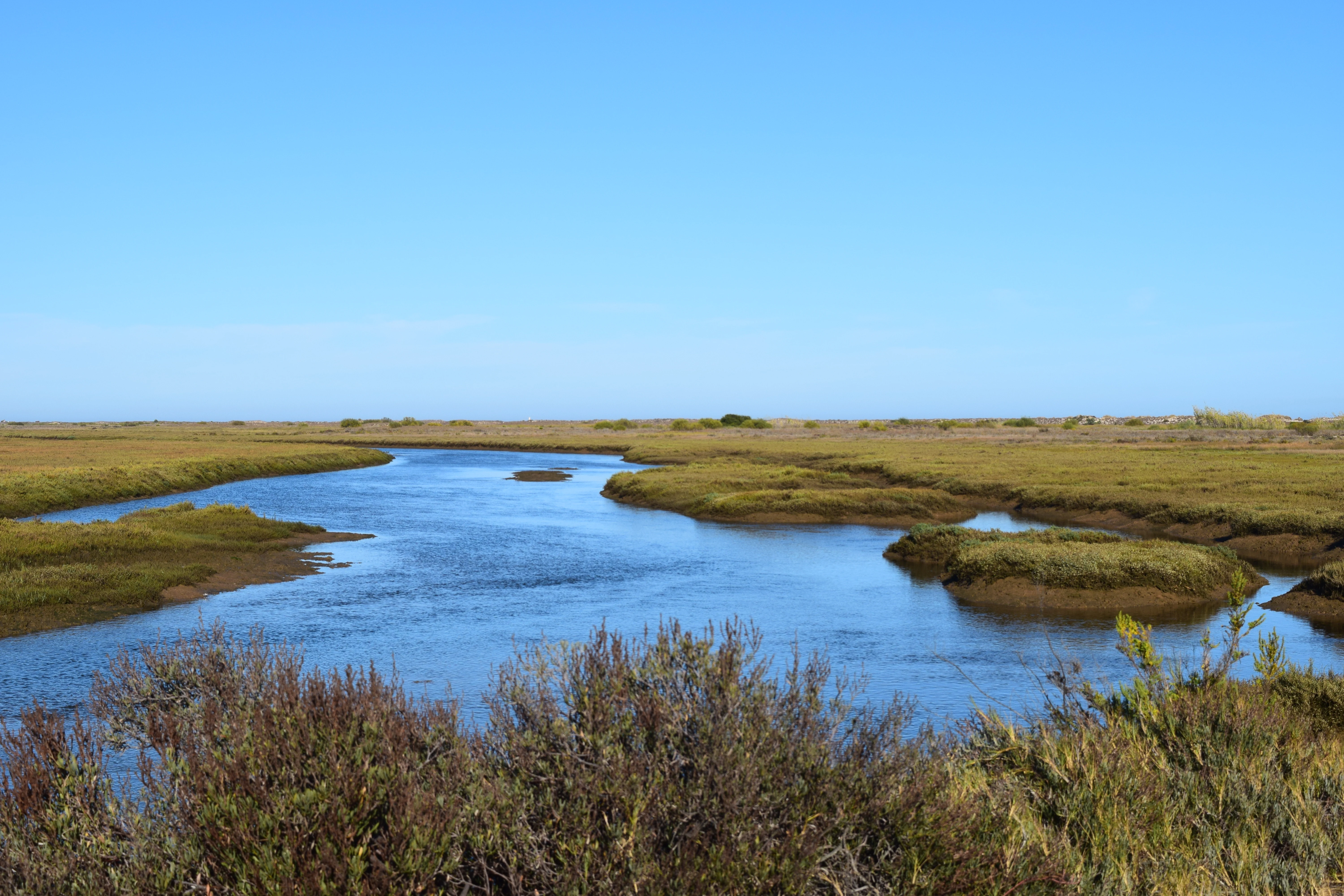 A river meanders through marshy wetlands with low vegetation under a clear blue sky