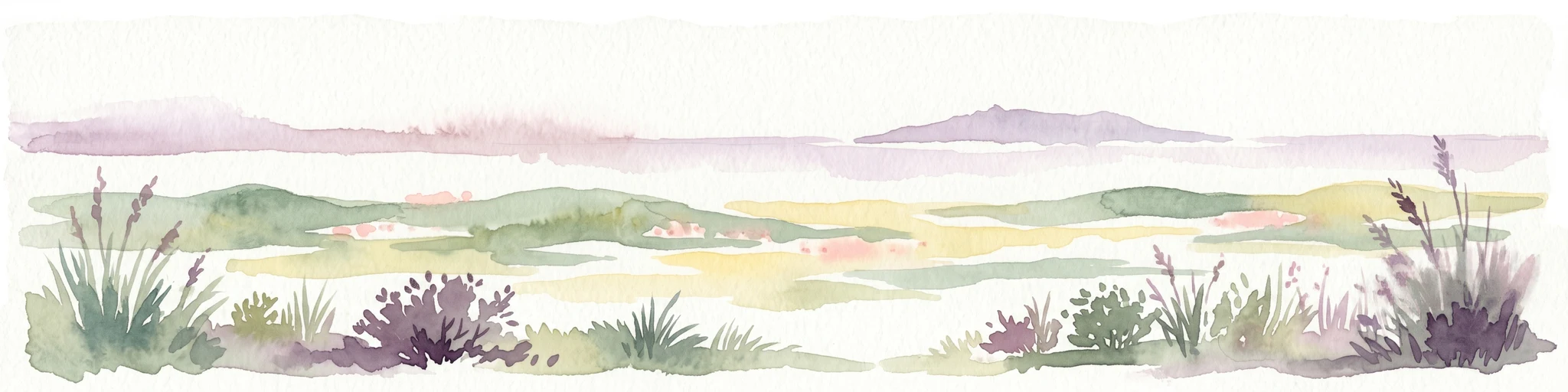Ilustración en acuarela de un paisaje de humedal con hierba, vegetación baja y colinas a lo lejos bajo un cielo pálido