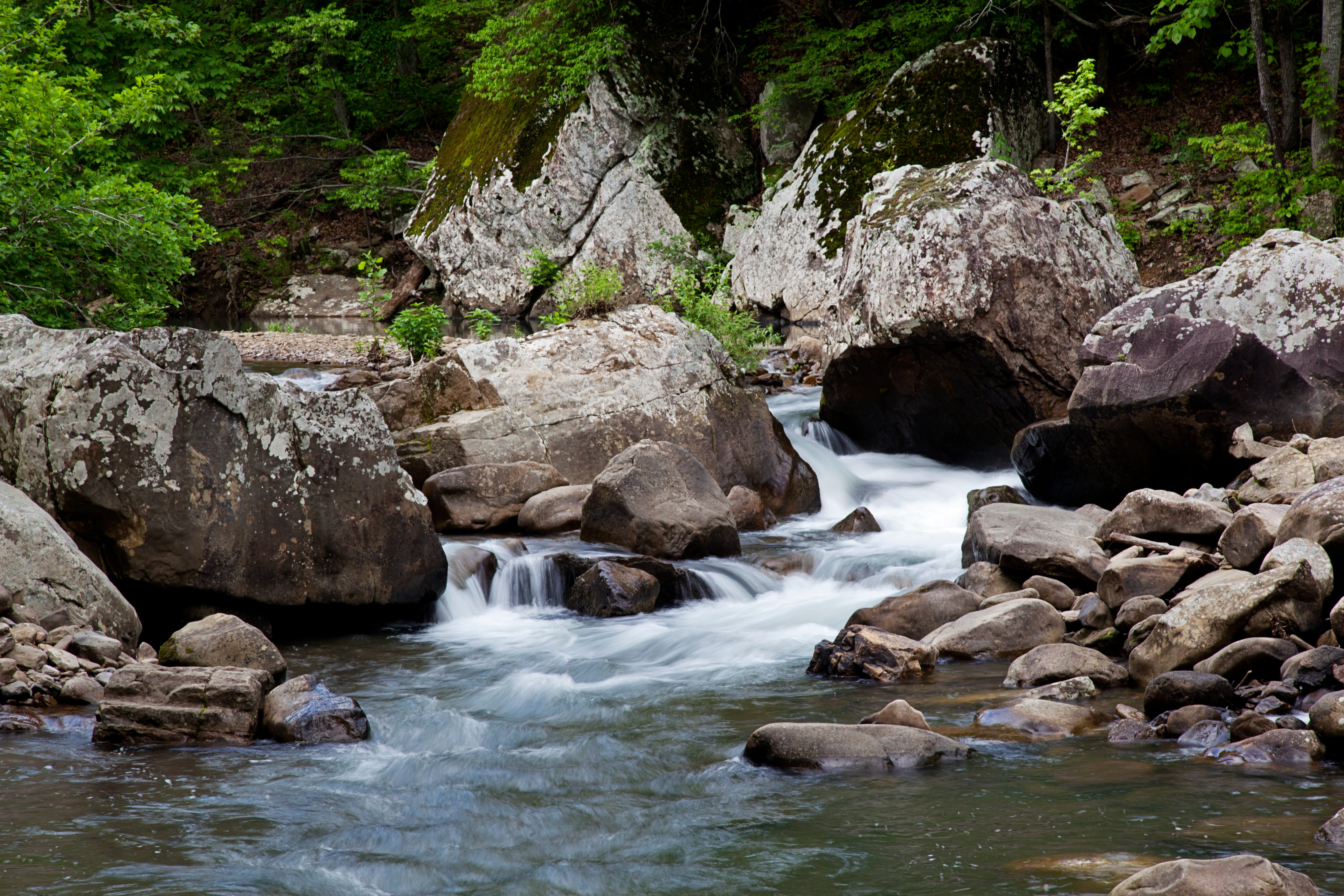 A rocky mountain stream flowing through a dense forest with large sandstone boulders on the banks.