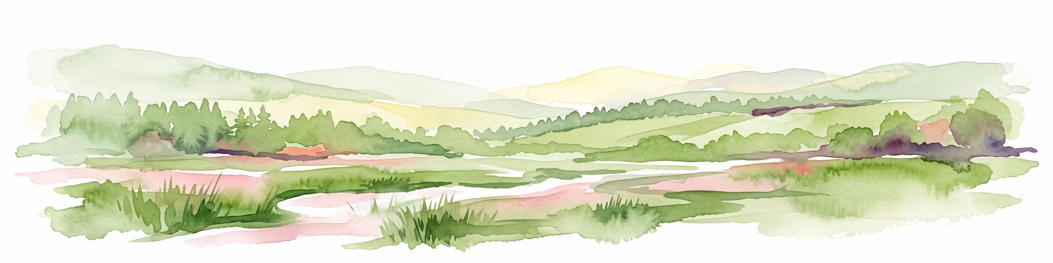 Watercolor illustration of a lush wetland landscape with reed beds, rolling green hills, and soft pastel colors.