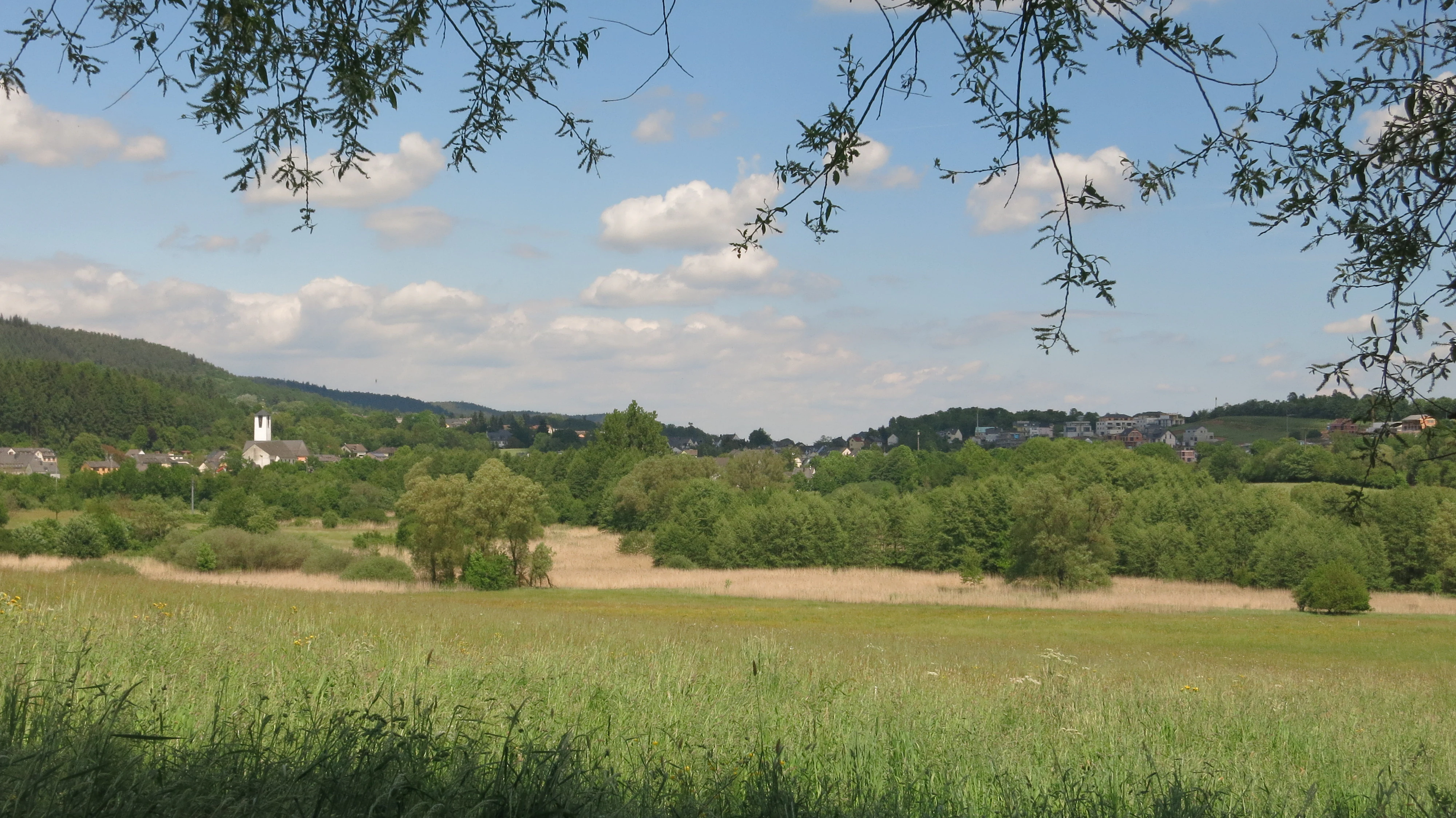 A green meadow leading to a patch of tan-colored reed beds and dense green trees, with a village and church visible in the distance under a blue sky.