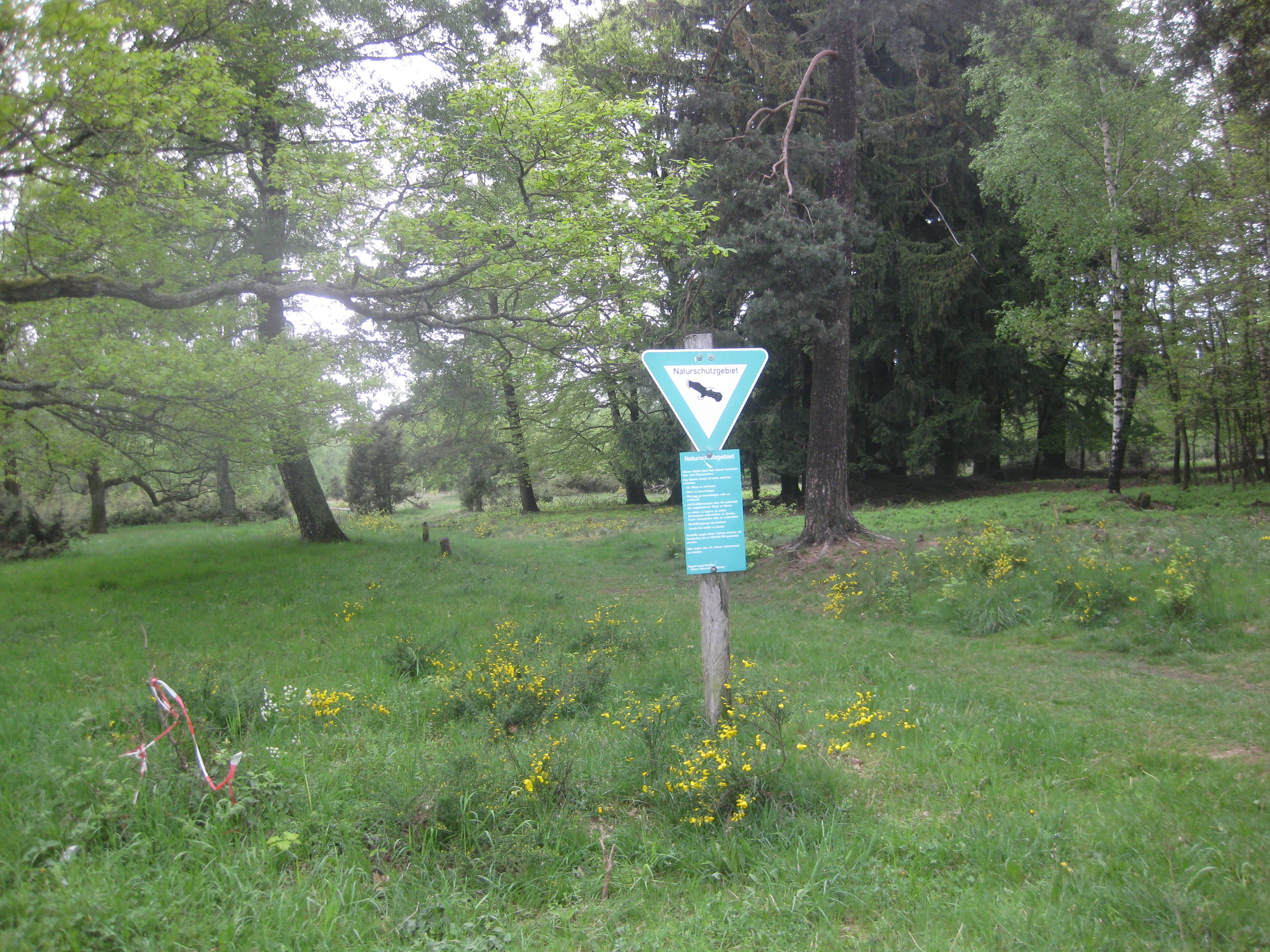 A triangular green and white nature reserve sign on a wooden post in a grassy meadow surrounded by trees.