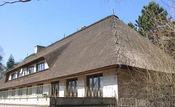 A building with a large thatched roof and a stone terrace, surrounded by bare trees in early spring.
